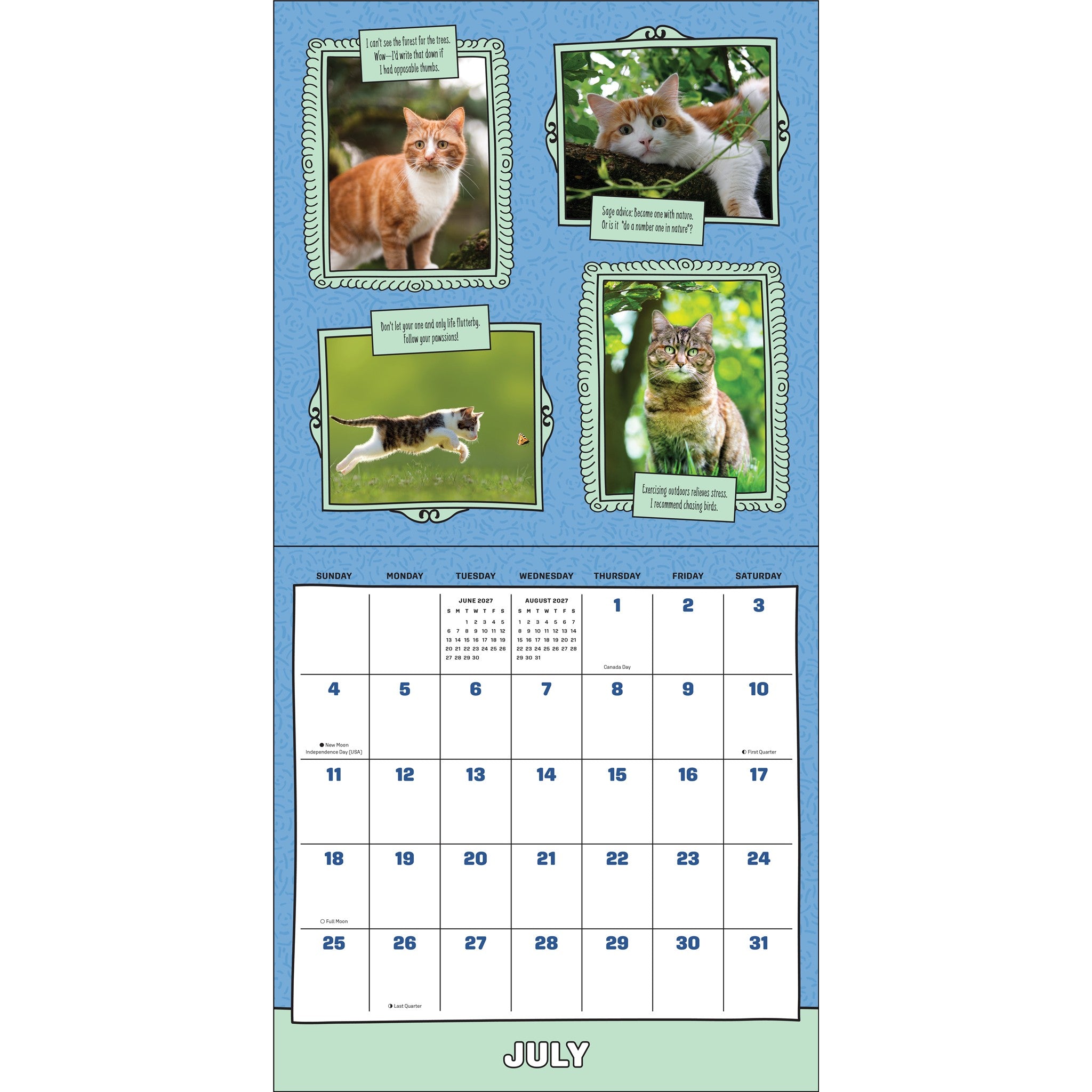 Calendrier mural 2027 : Les chats sont plus économiques qu'une thérapie