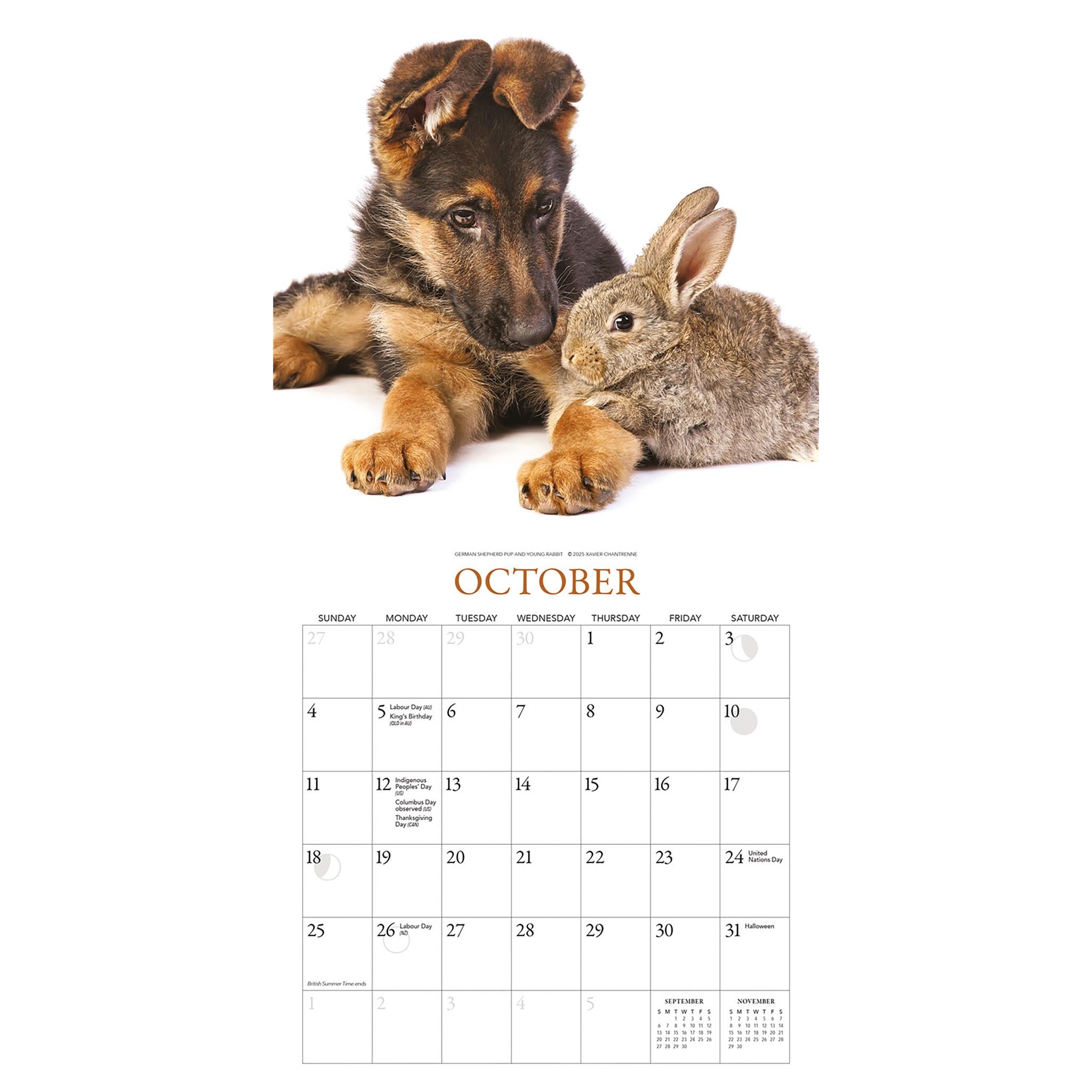Calendrier miniature Chiots et Amis 2026