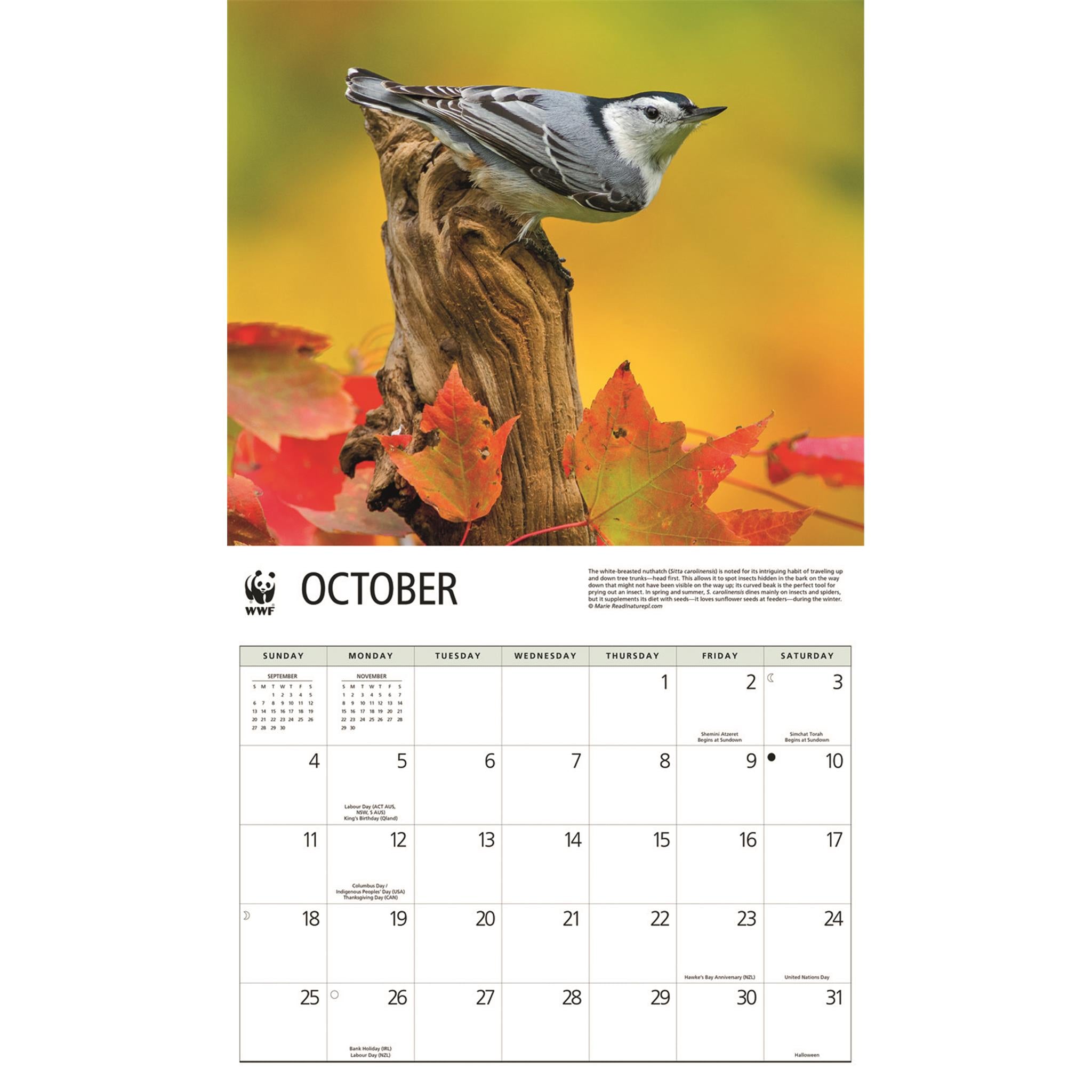 World Wildlife Fund Songbirds 2026 Wall Calendar