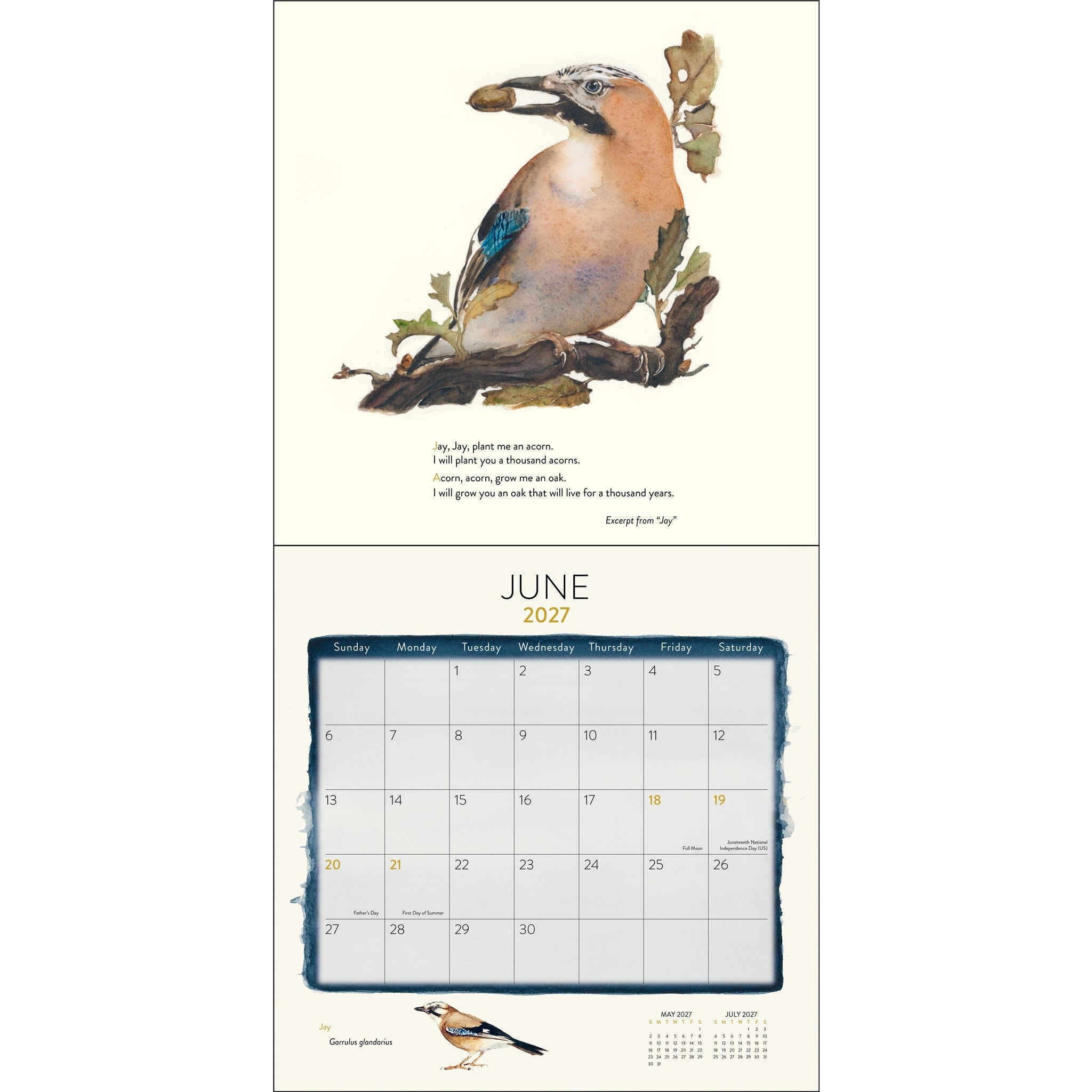 Calendrier mural Lost Spells 2027 - Exclusivement en ligne