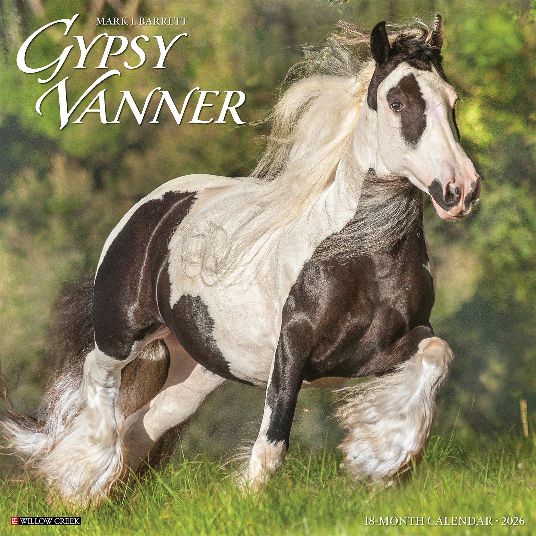 Calendrier mural 2026 Gypsy Vanner Horse