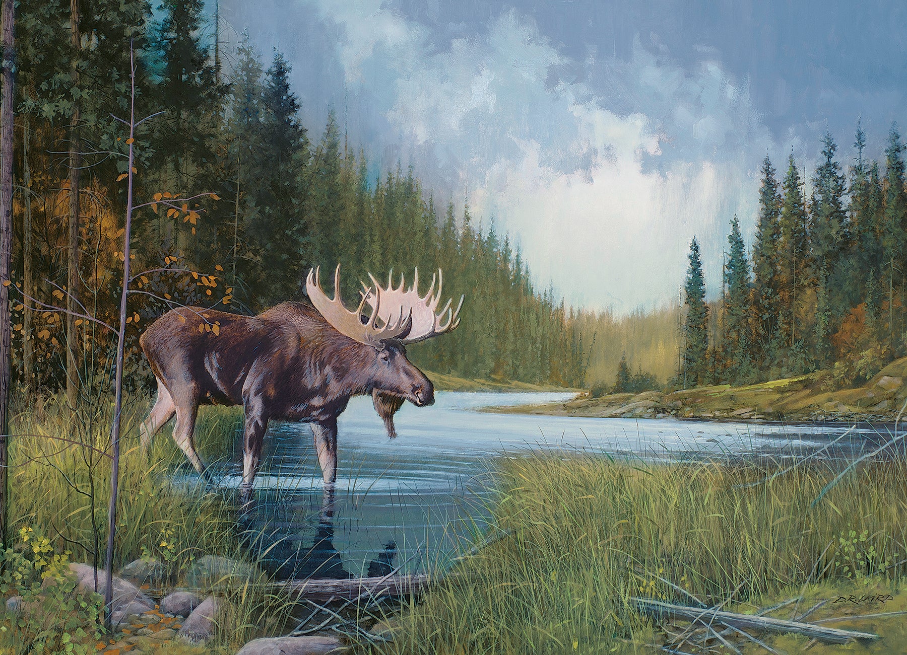 Puzzle de 1000 pièces de Moose Lake