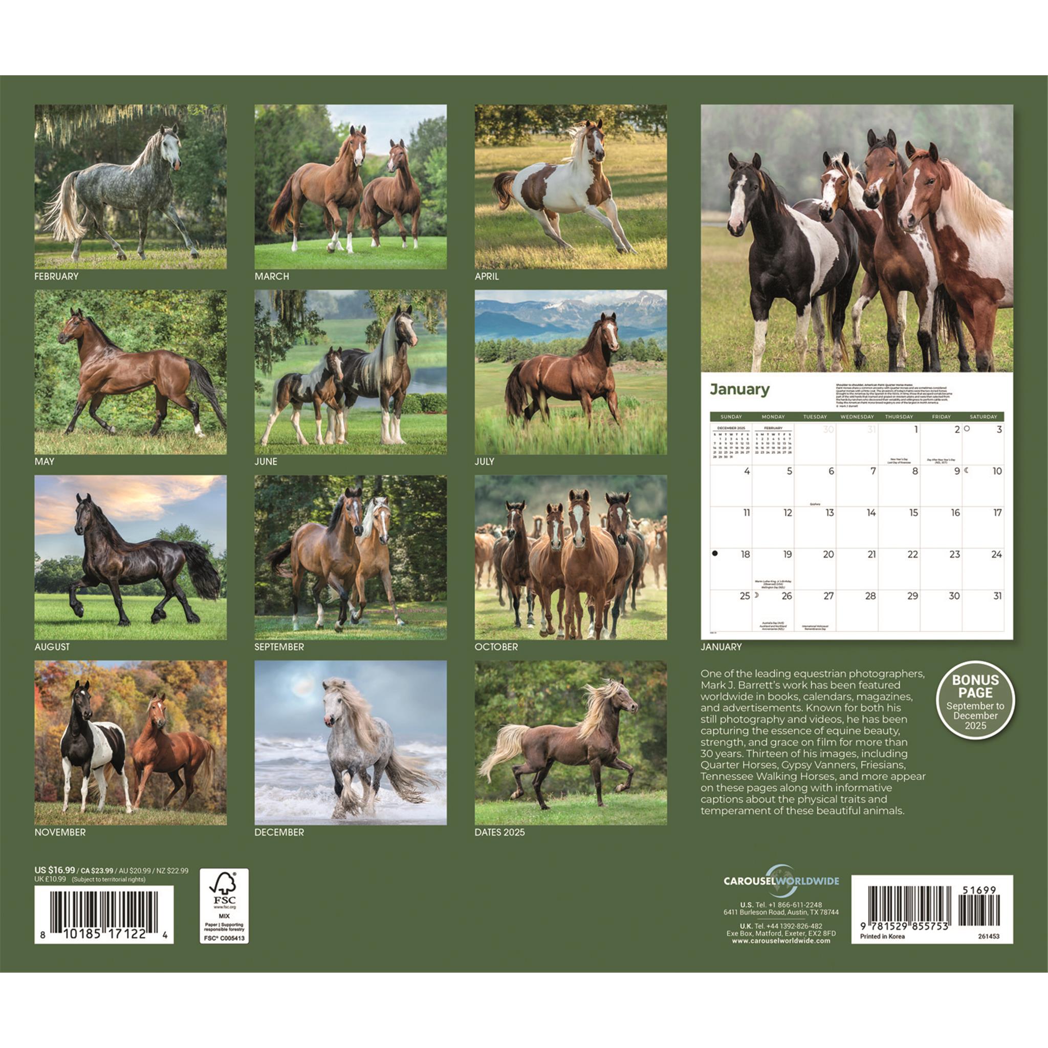 Calendrier mural Chevaux 2026