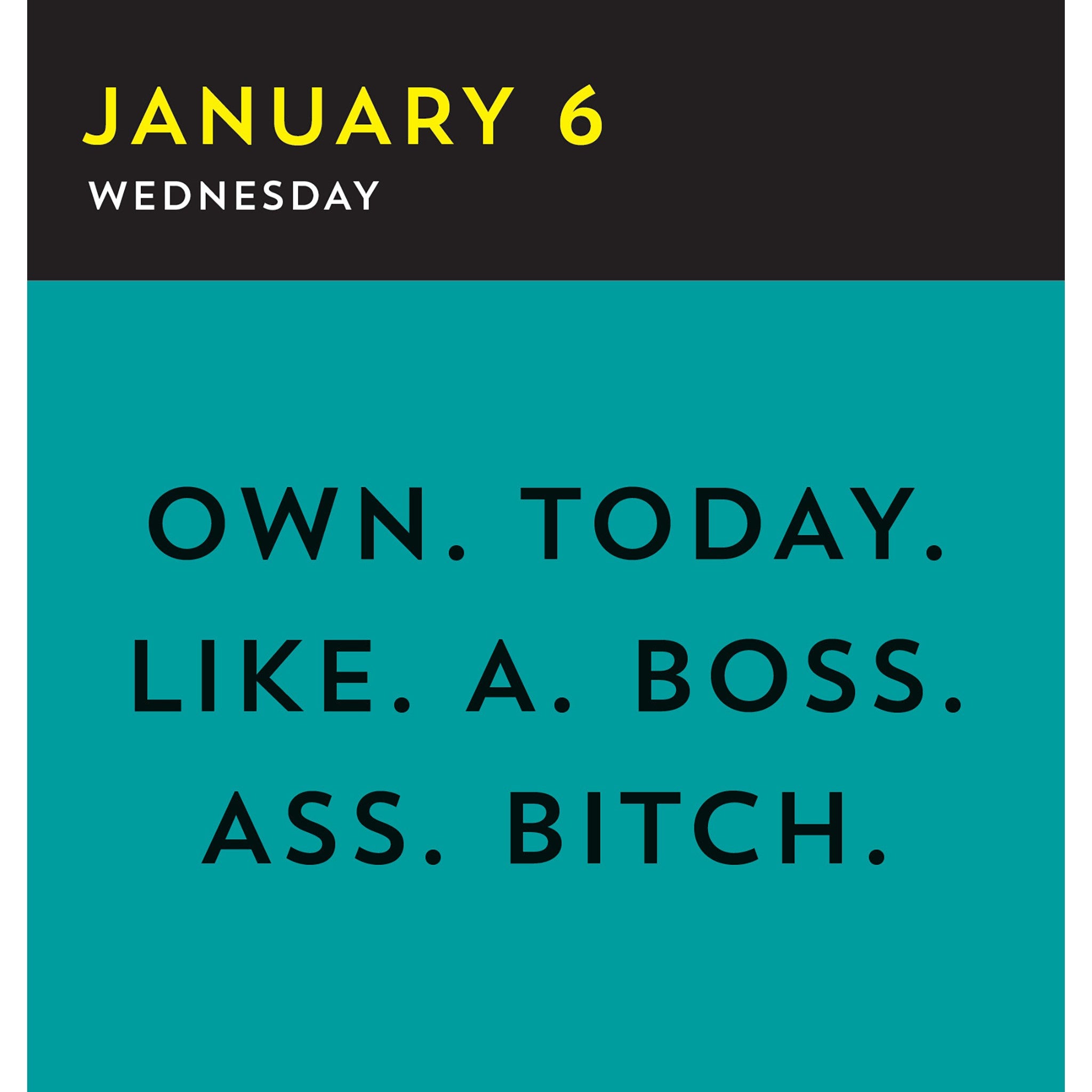 A Fucking Calendar 2027 Box Calendar