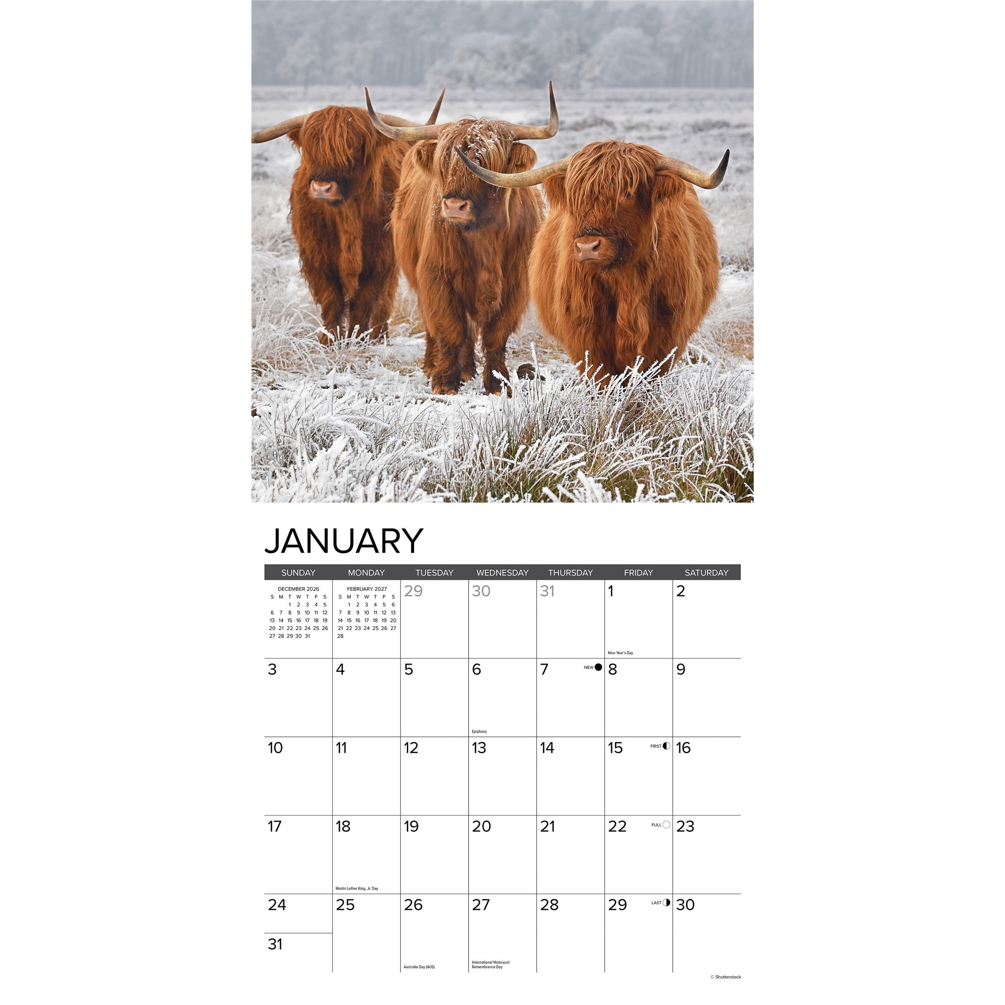 Highland Cows 2027 Wall Calendar - Online Only