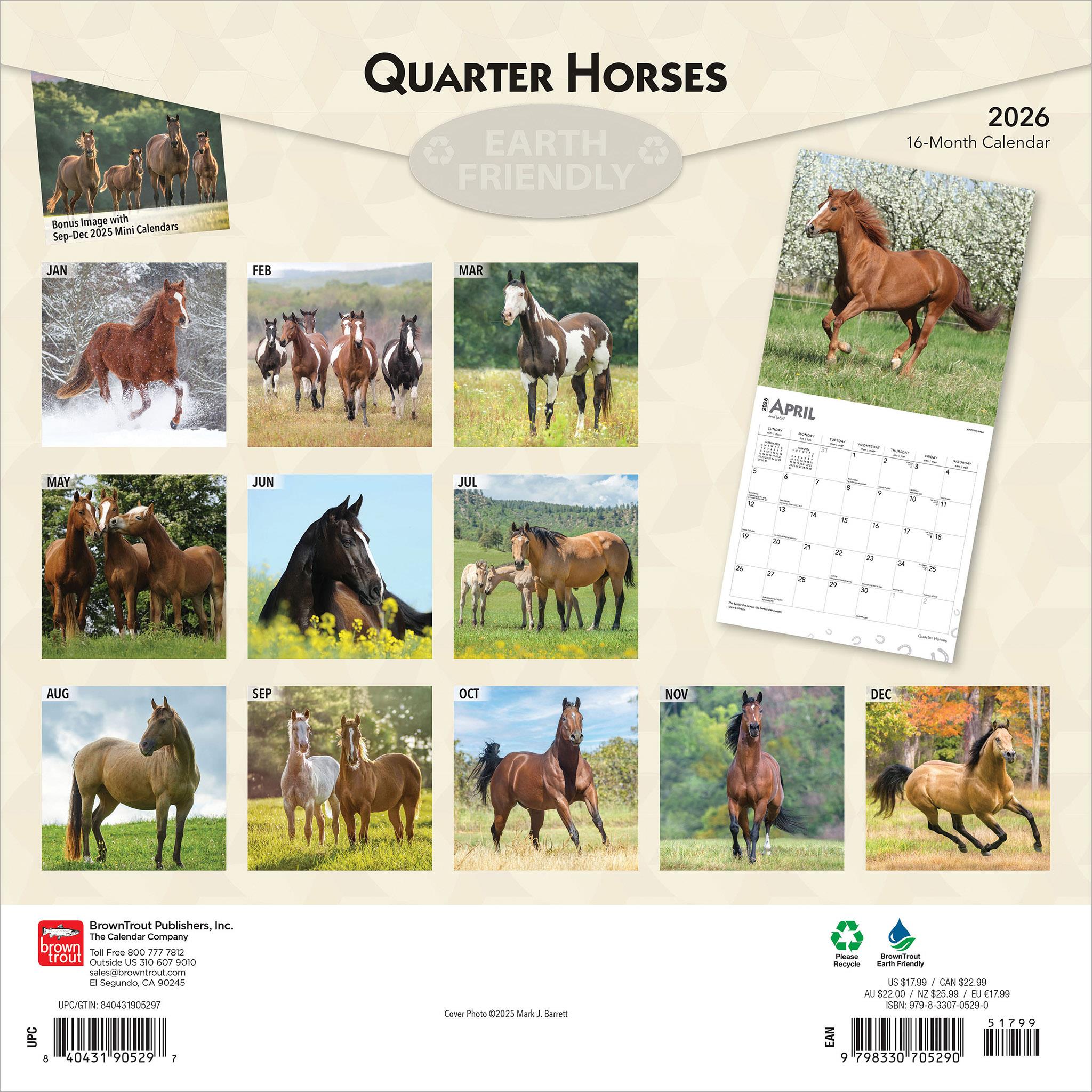 Calendrier mural Quarter Horses 2026 - Disponible uniquement en ligne