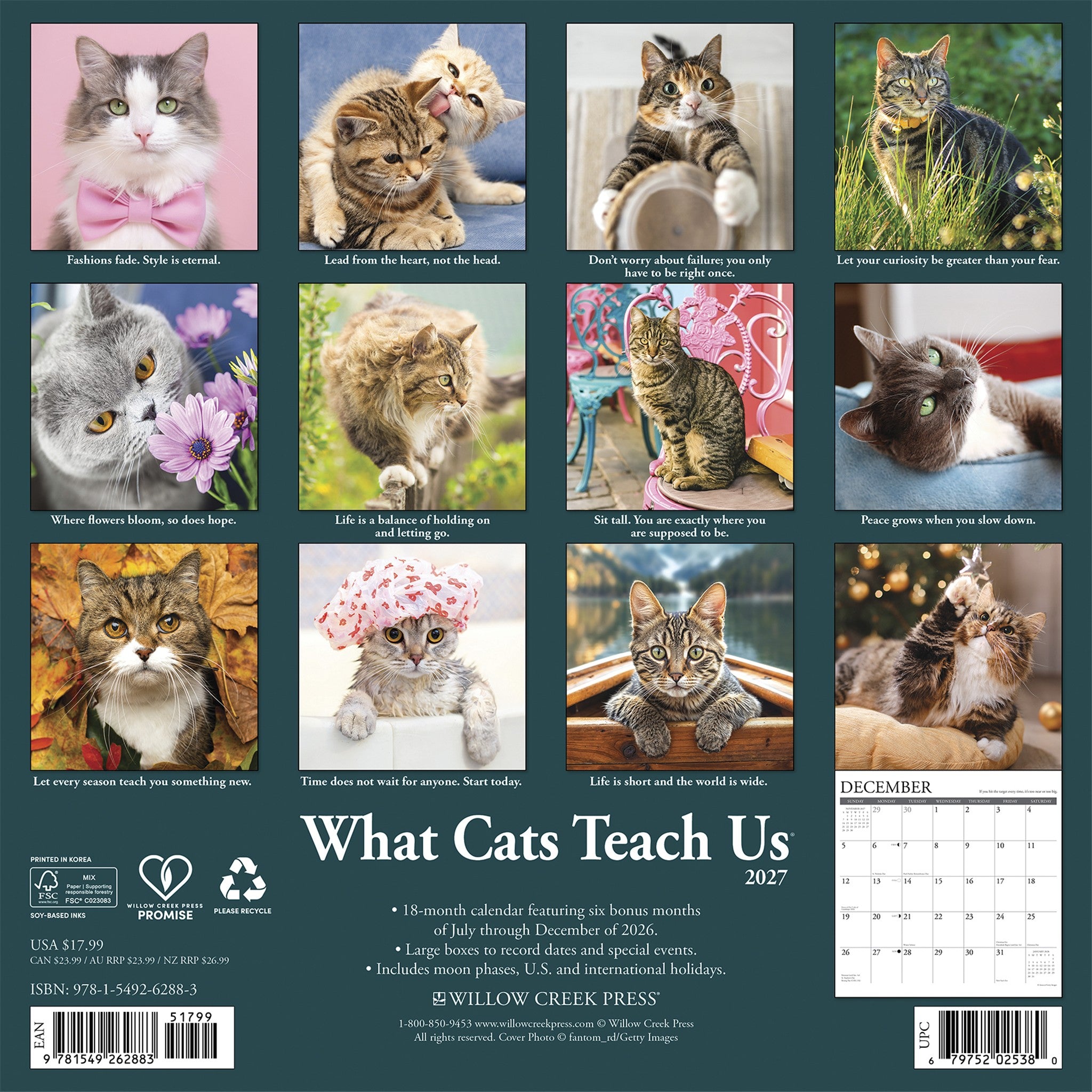 What Cats Teach Us 2027 Wall Calendar