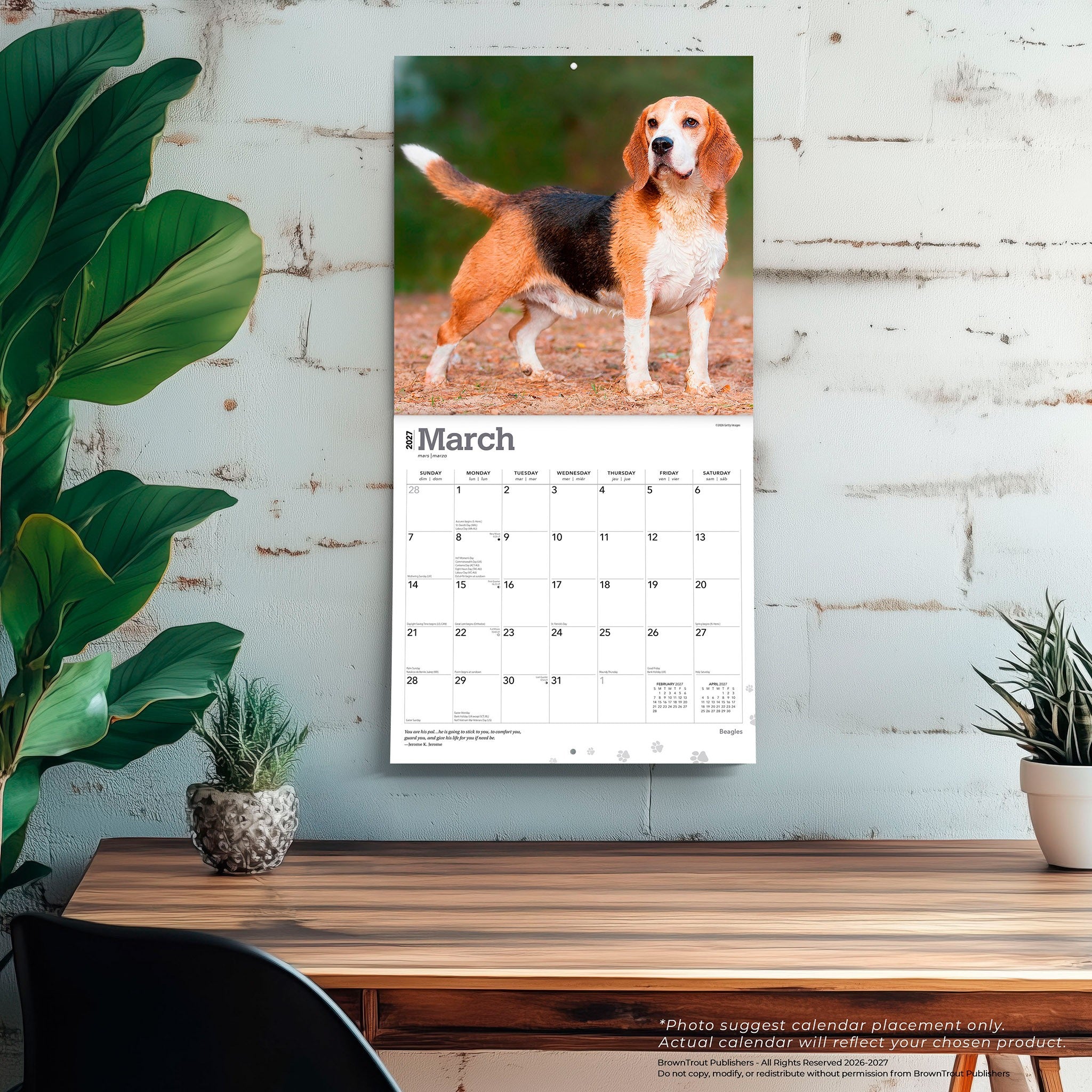 Beagles 2027 Wall Calendar