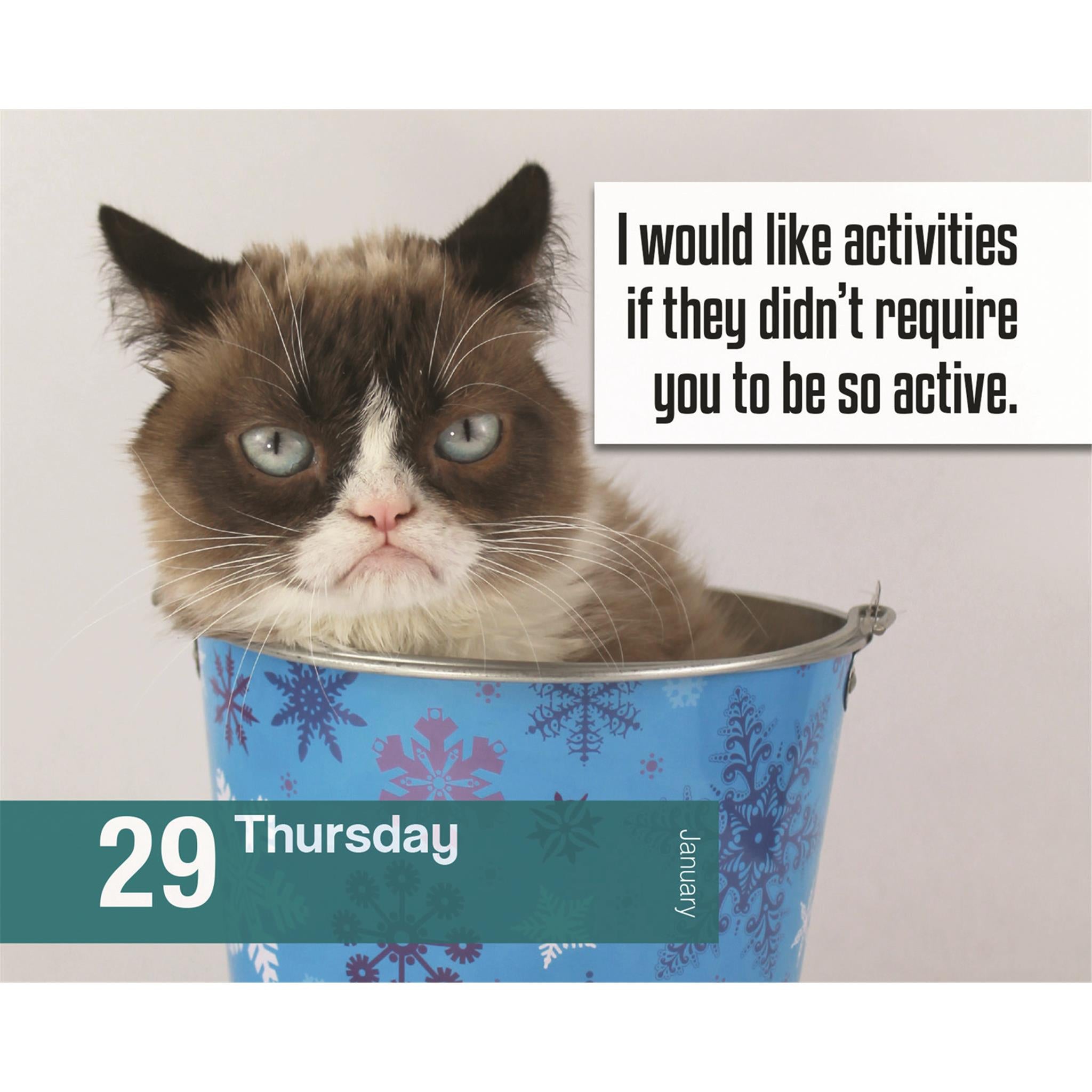 Calendrier Grumpy Cat 2026