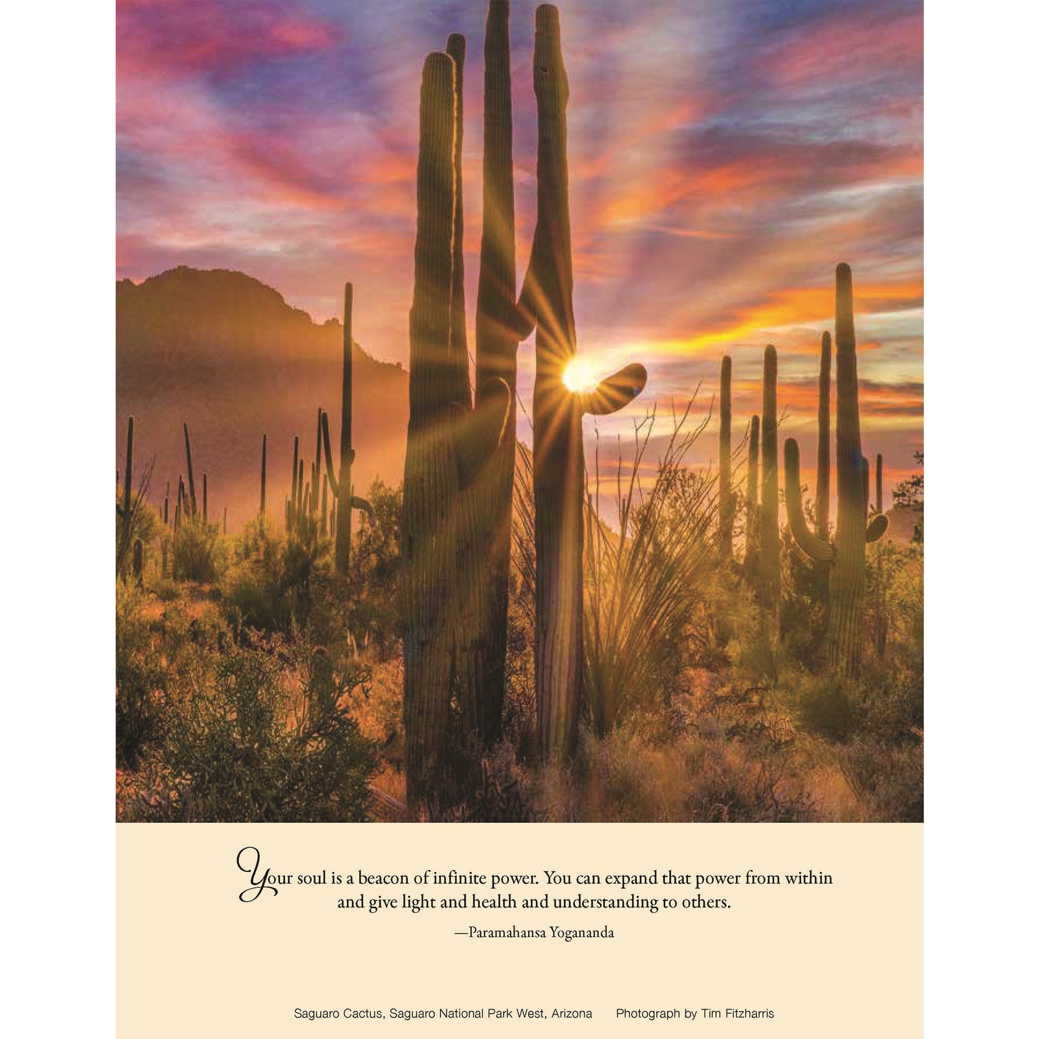 Inner Reflections 2027 Engagement Calendar