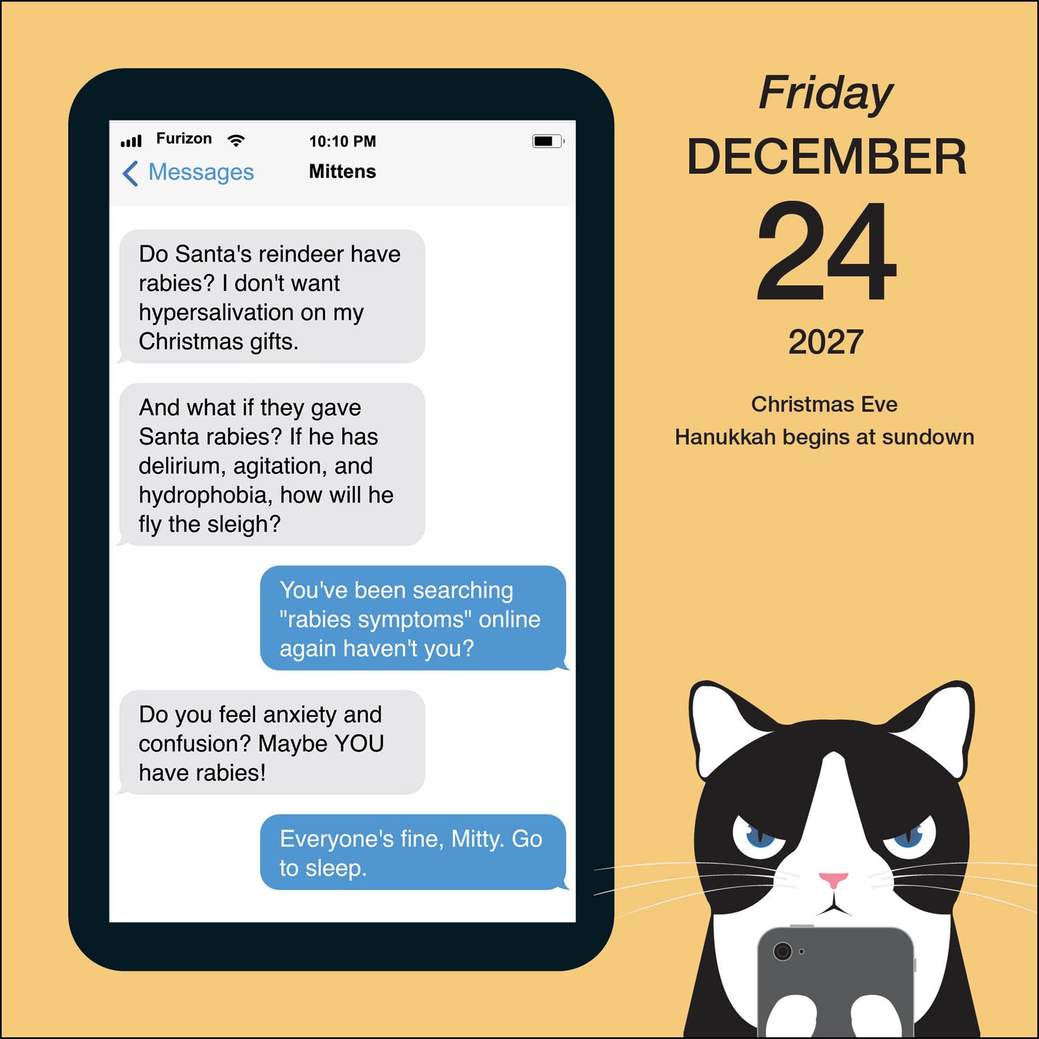 Texts from Mittens the Cat 2027 Box Calendar