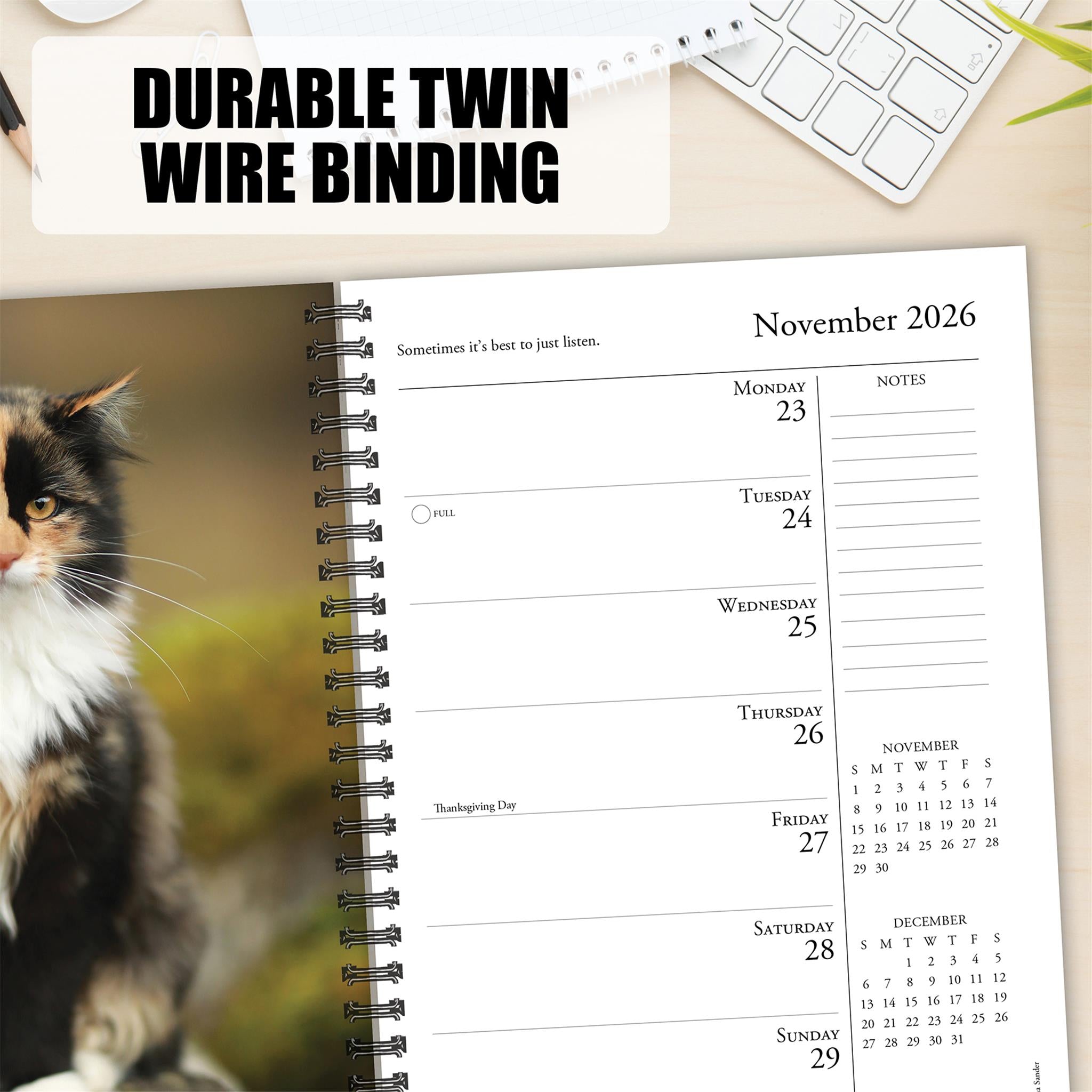 What Cats Teach Us 2026 Engagement Calendar