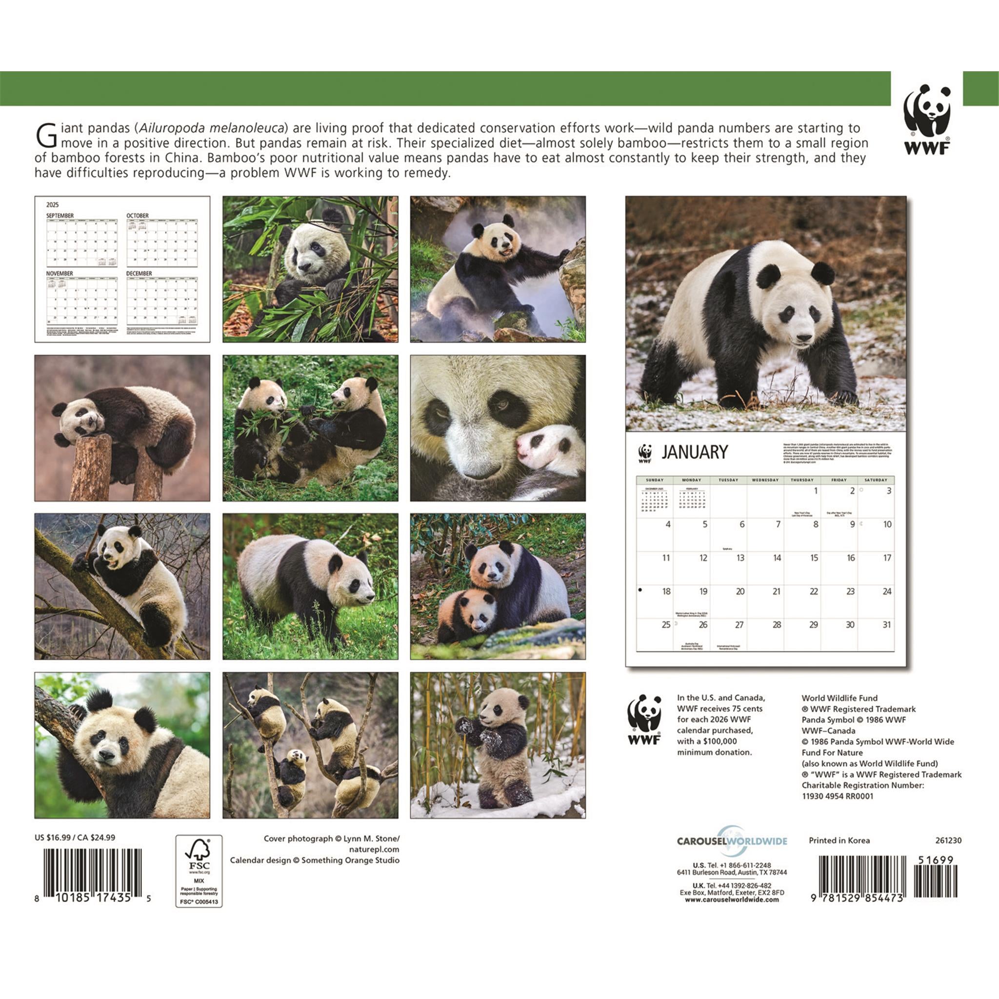 Calendrier mural 2026 du Fonds mondial pour la nature (WWF) sur les pandas géants