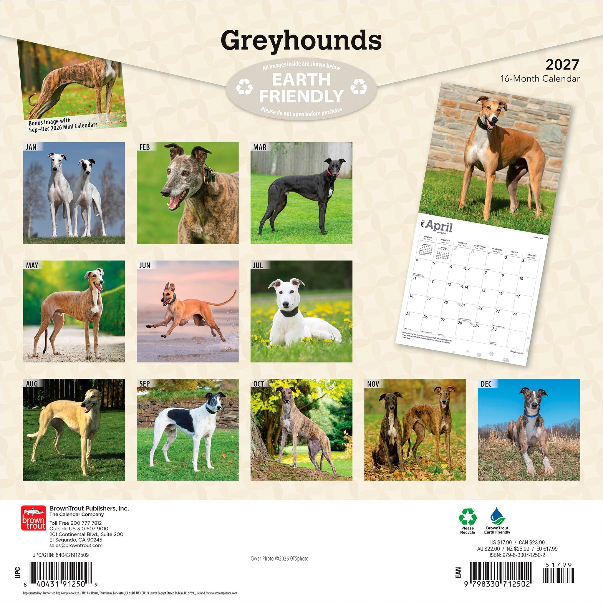Greyhounds 2027 Wall Calendar