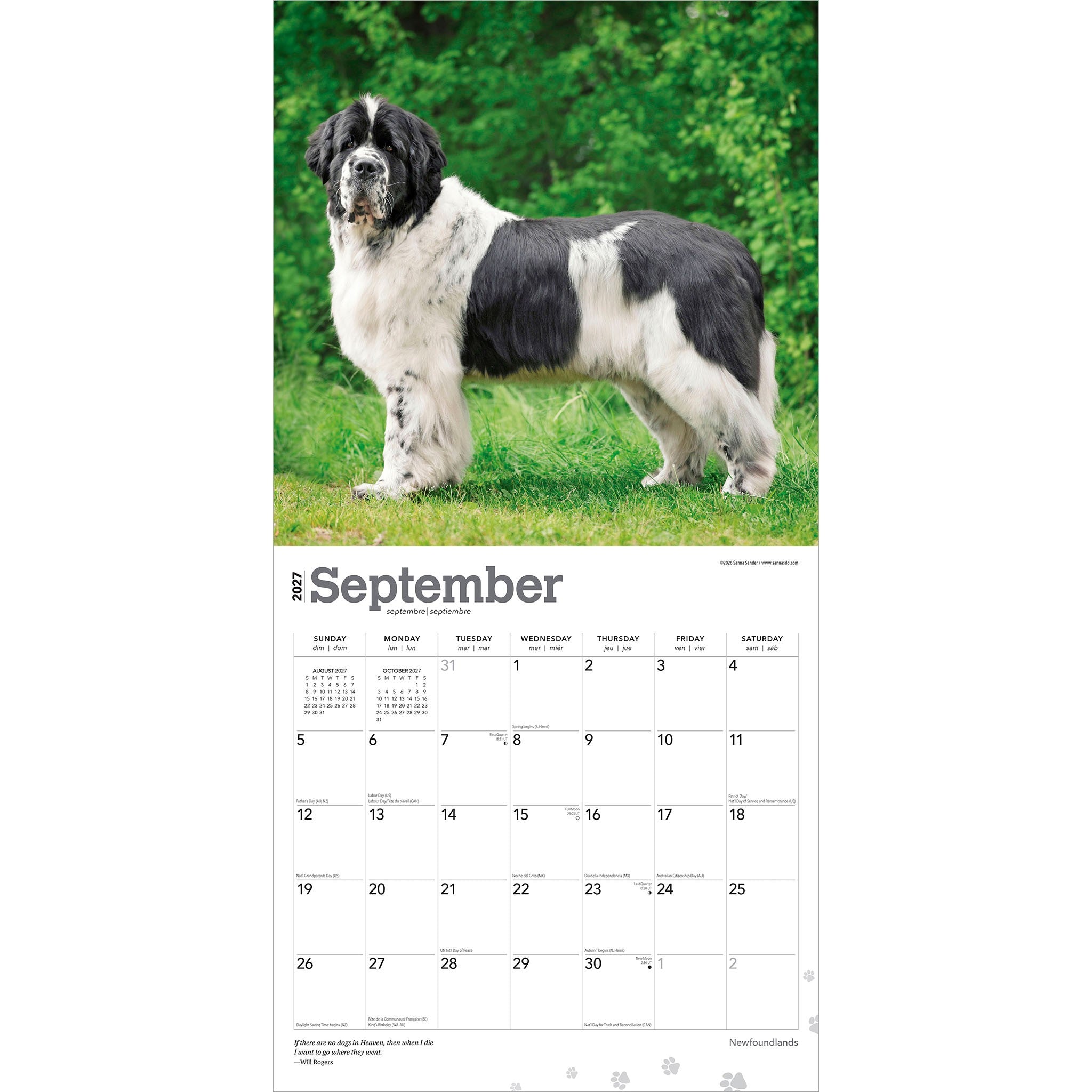 Newfoundlands 2027 Wall Calendar