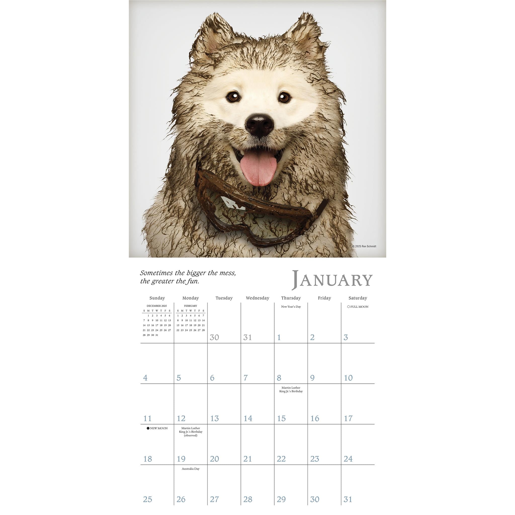 Mini-calendrier Dogma 2026