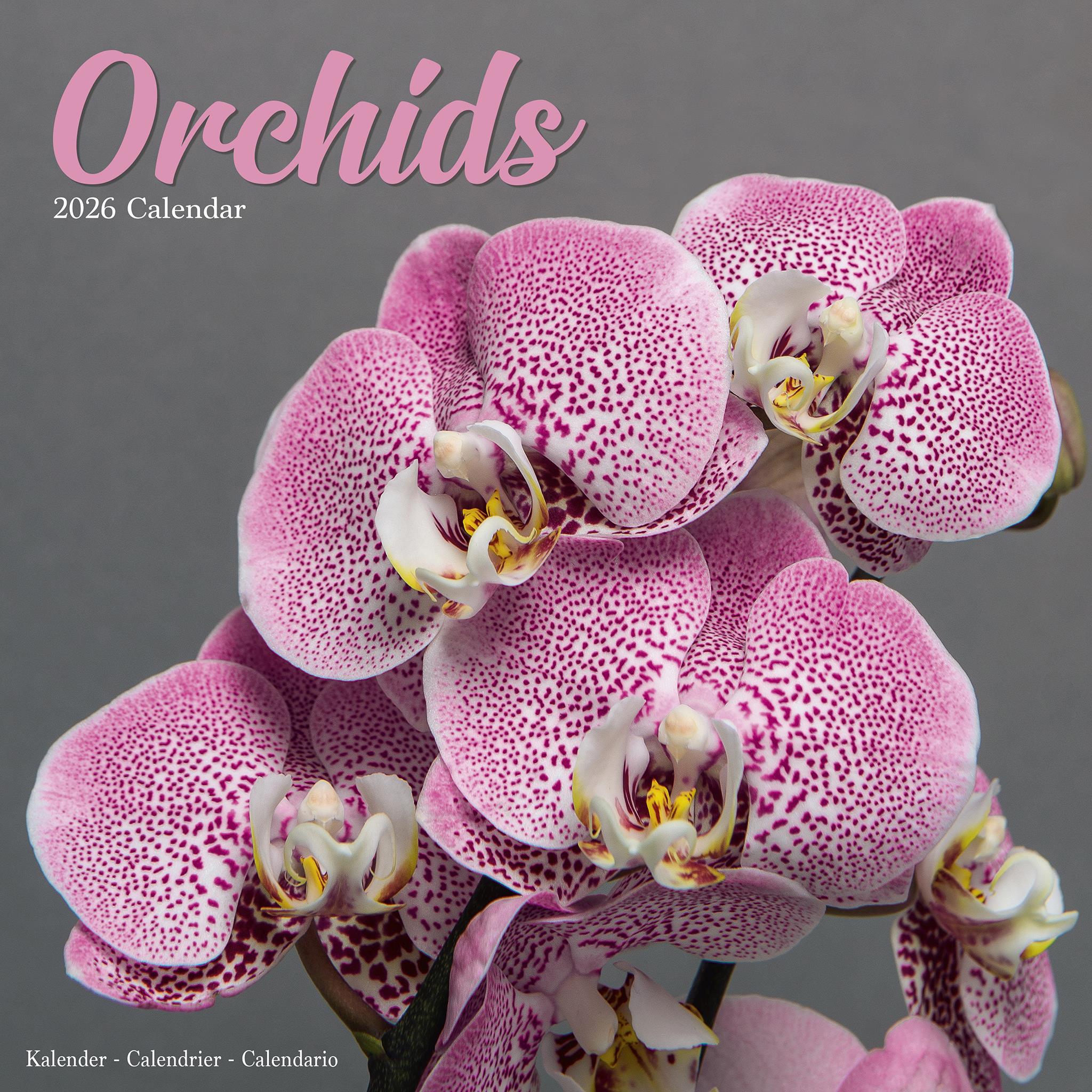 Calendrier mural Orchidées 2026