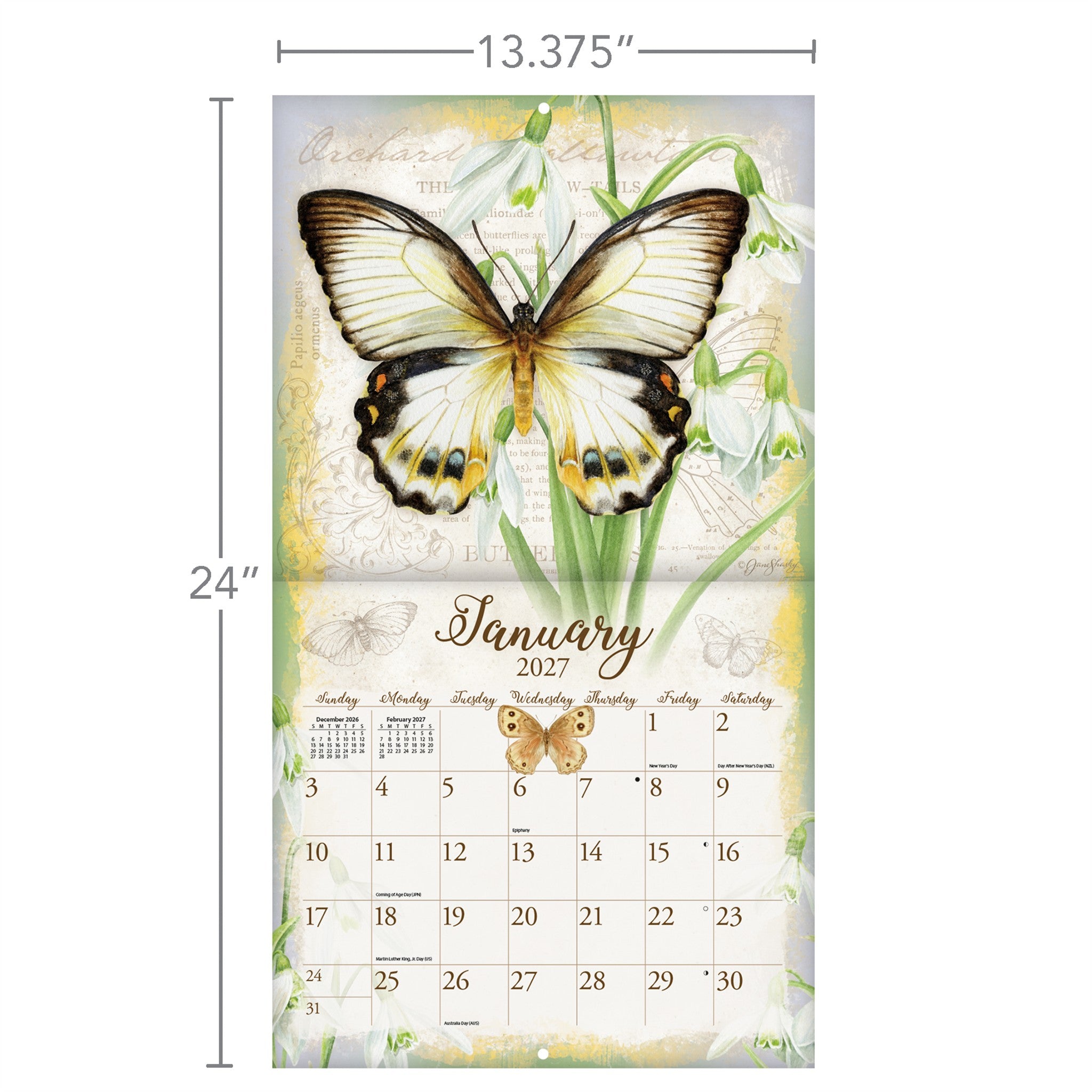 Butterflies 2027 Wall Calendar - Online Only