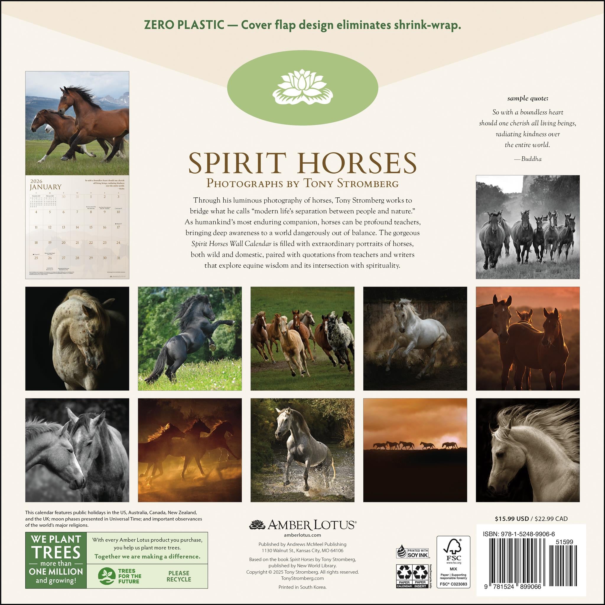 Calendrier mural Spirit Horses 2026