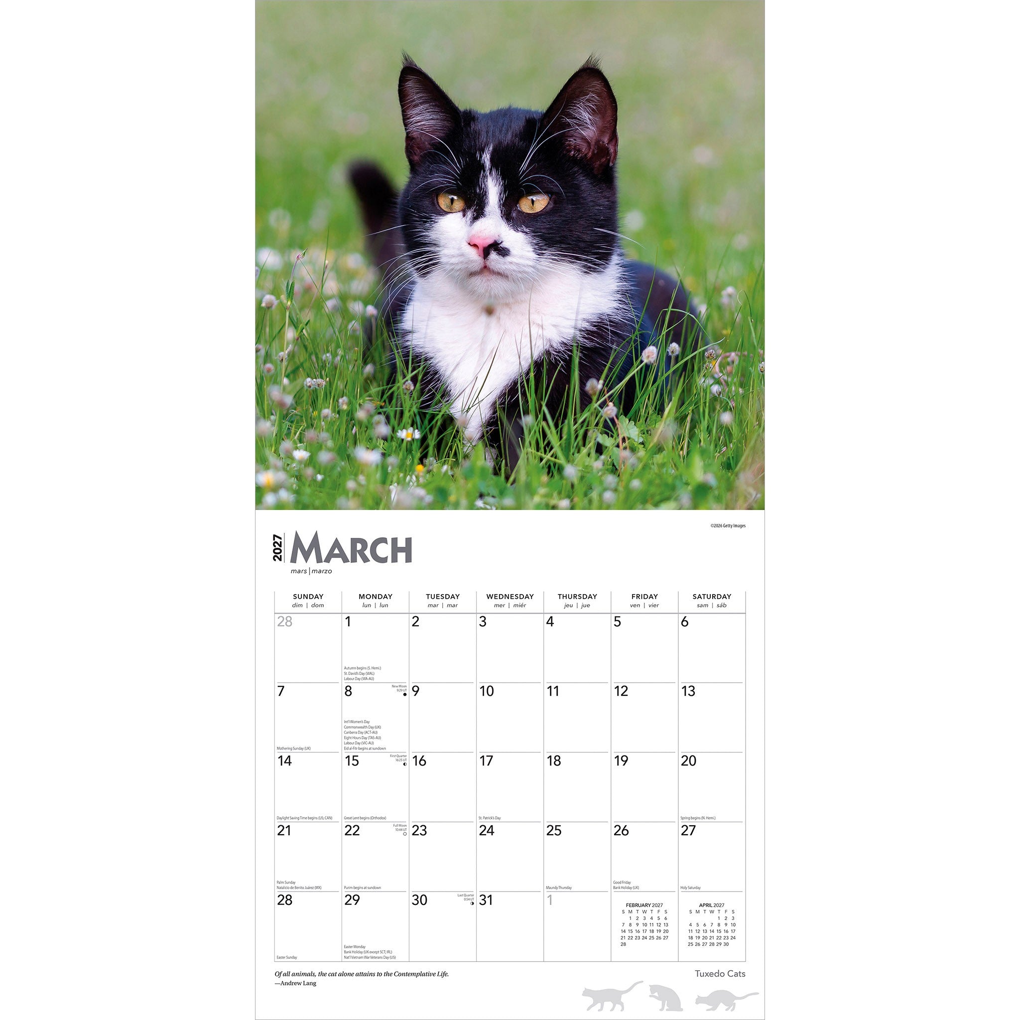 Tuxedo Cats 2027 Wall Calendar