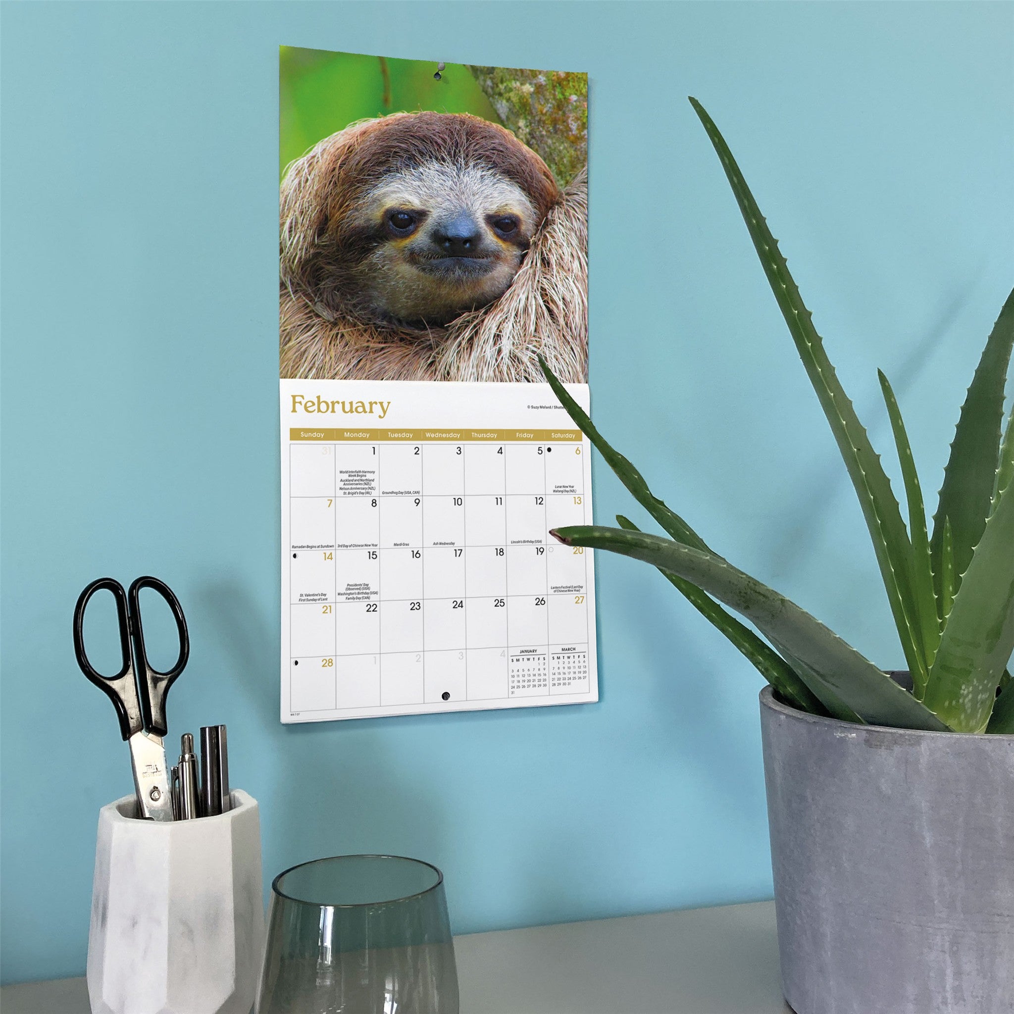 Mini calendrier Paresseux 2027