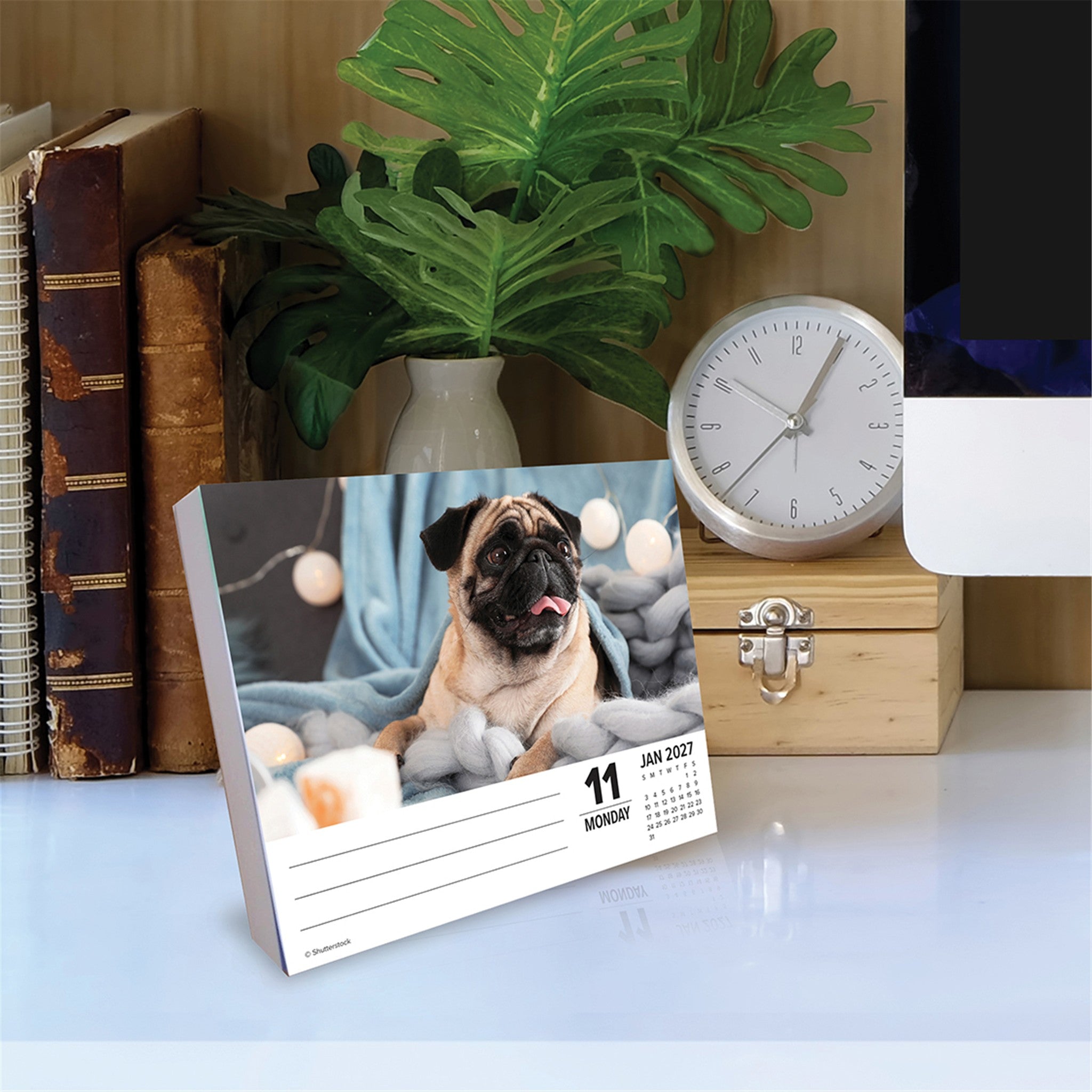 Pugs 2027 Box Calendar - Online Only