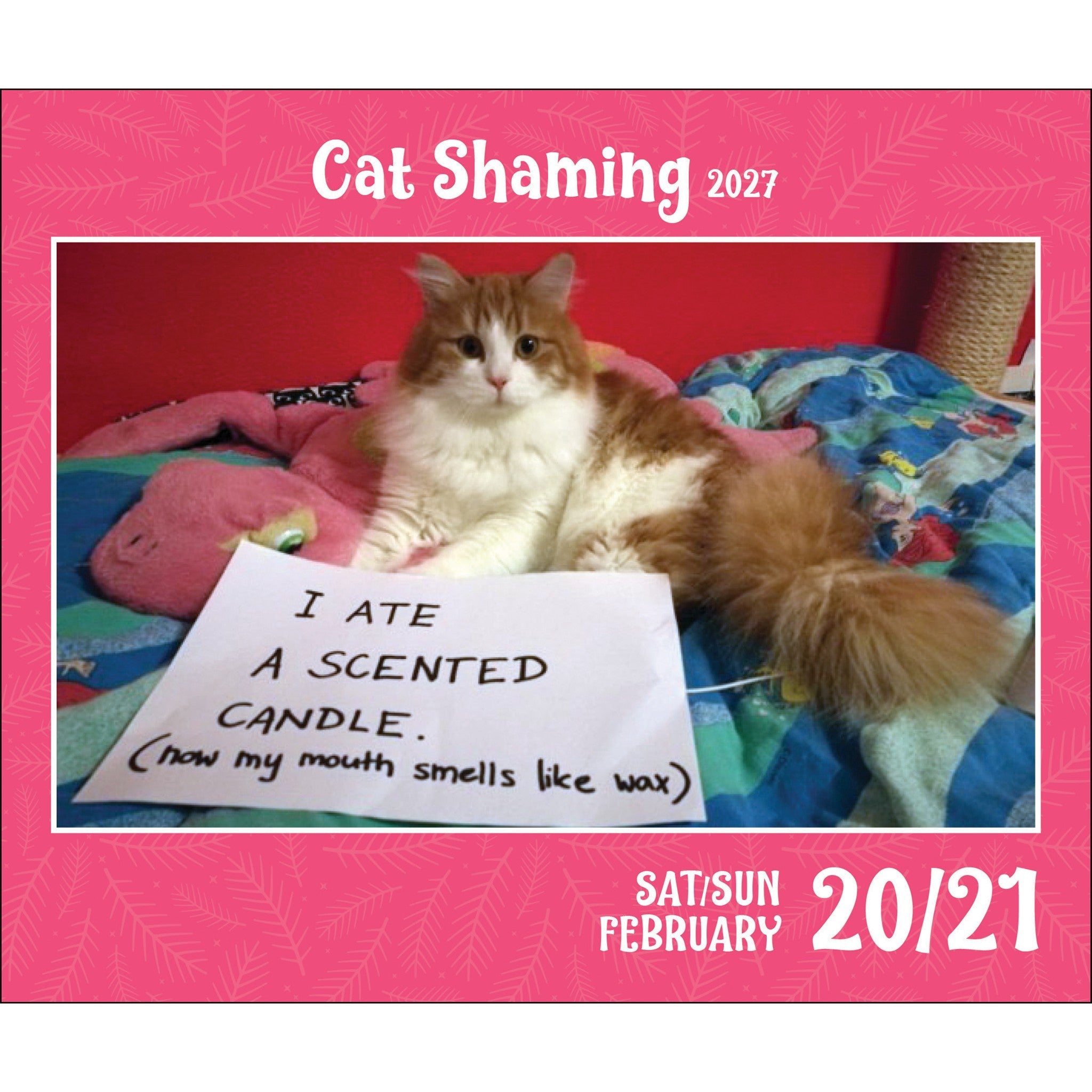 Cat Shaming 2027 Box Calendar