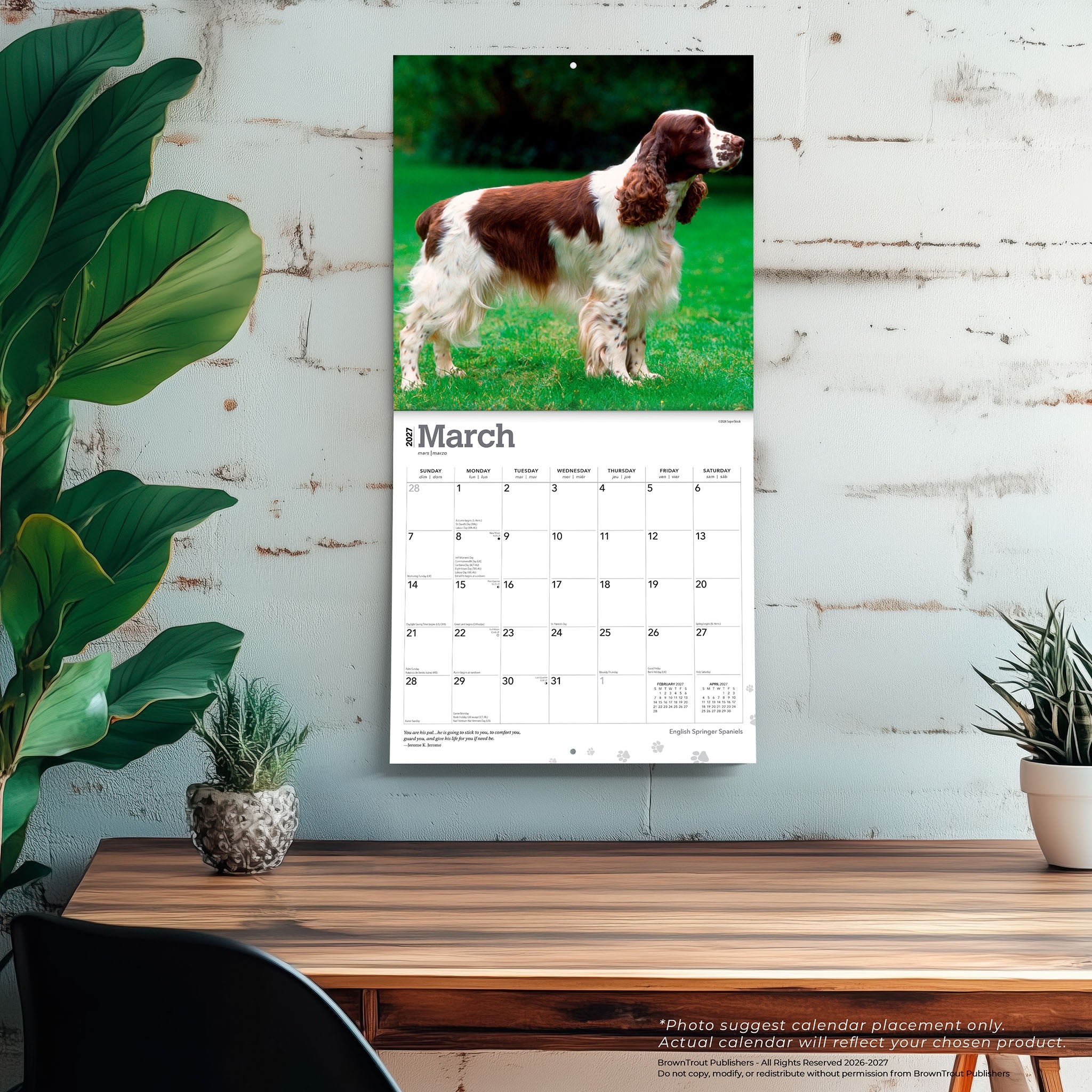 English Springer Spaniels 2027 Wall Calendar