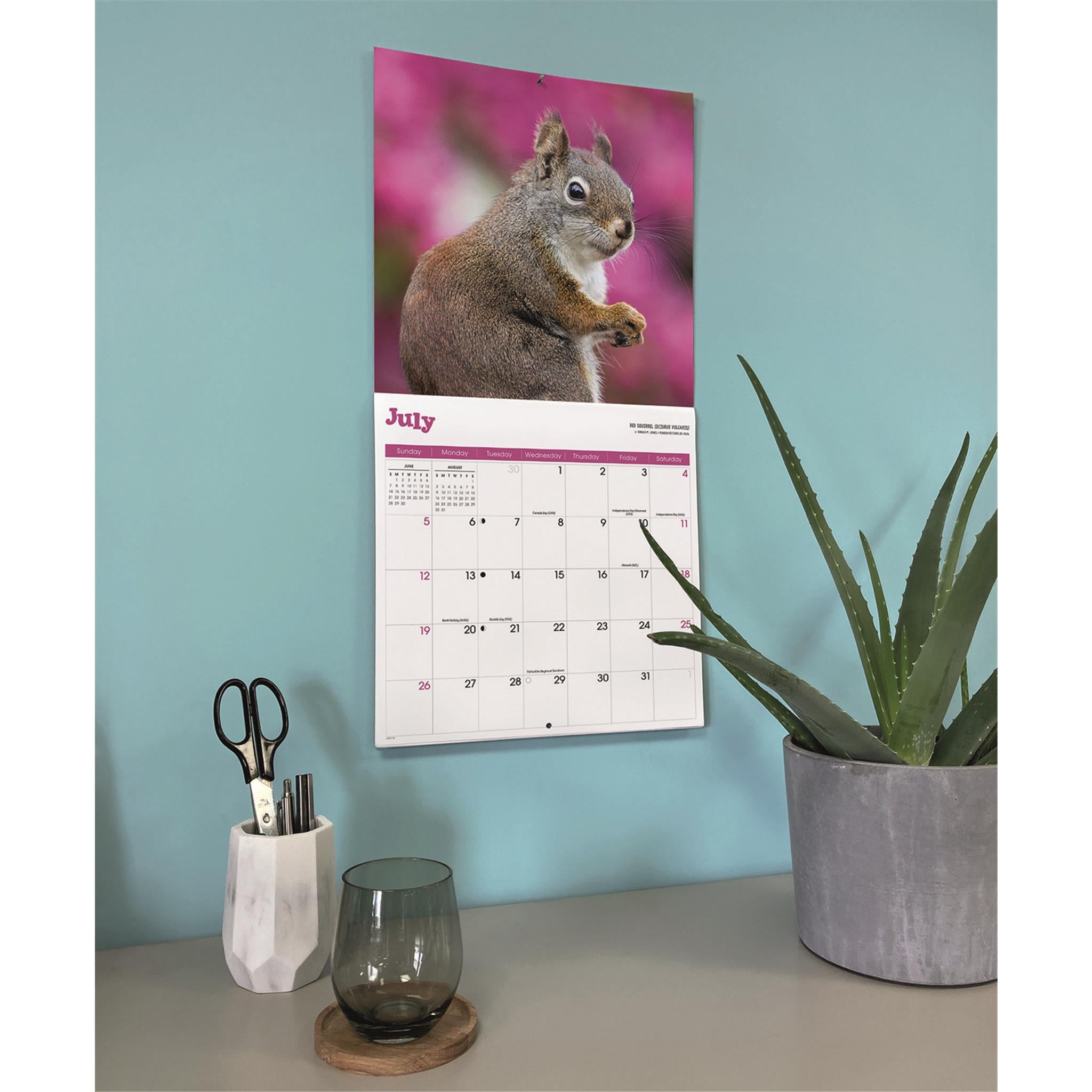 Calendrier mural des écureuils 2026