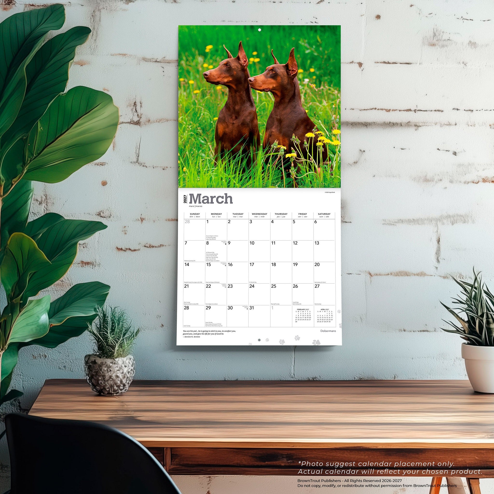 Dobermans 2027 Wall Calendar