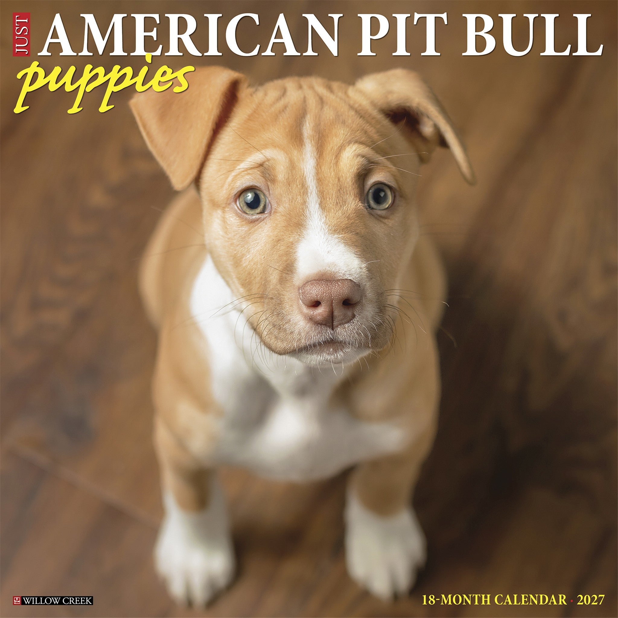 American Pit Bull Terrier Puppies 2027 Wall Calendar - Online Only