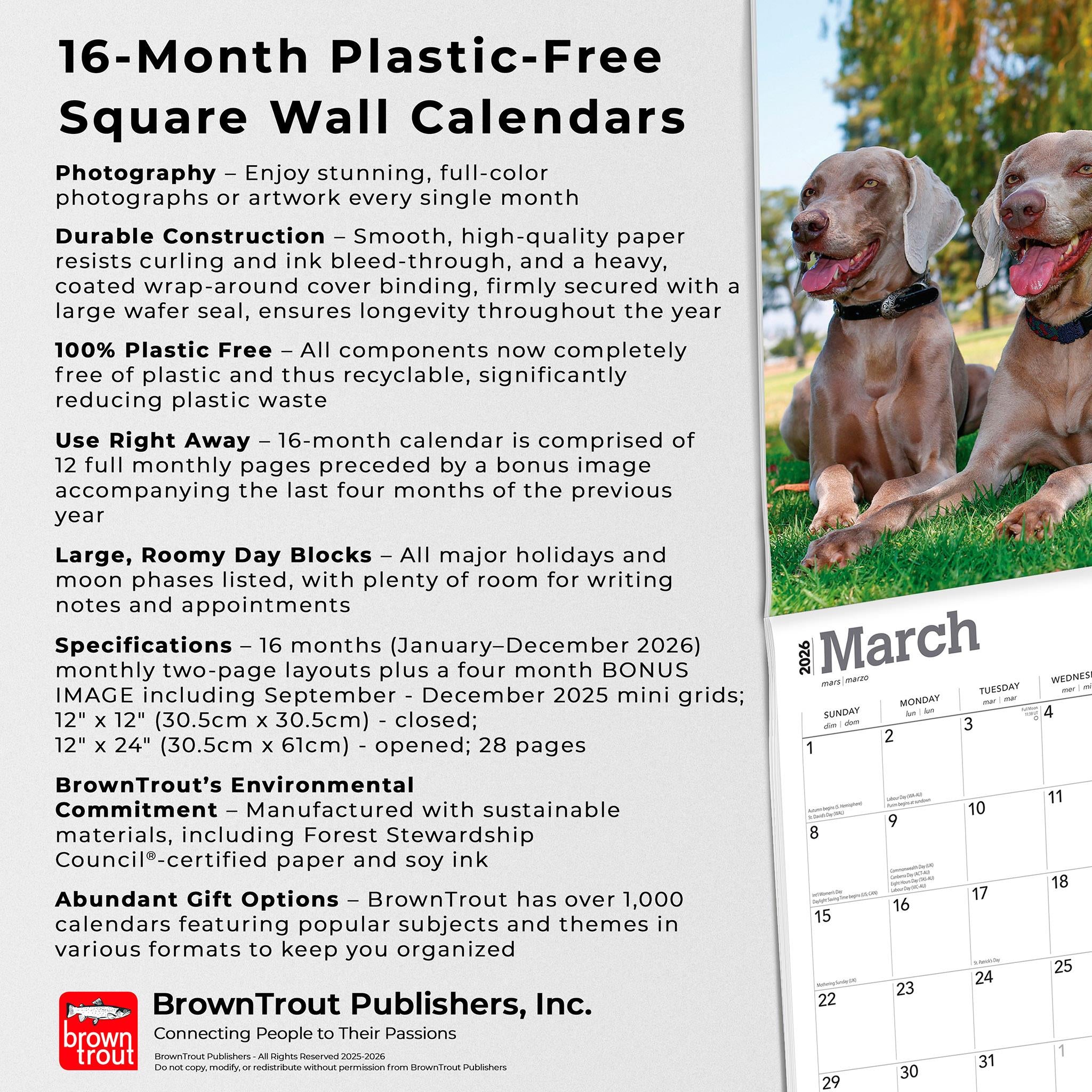 Weimaraners 2026 Wall Calendar