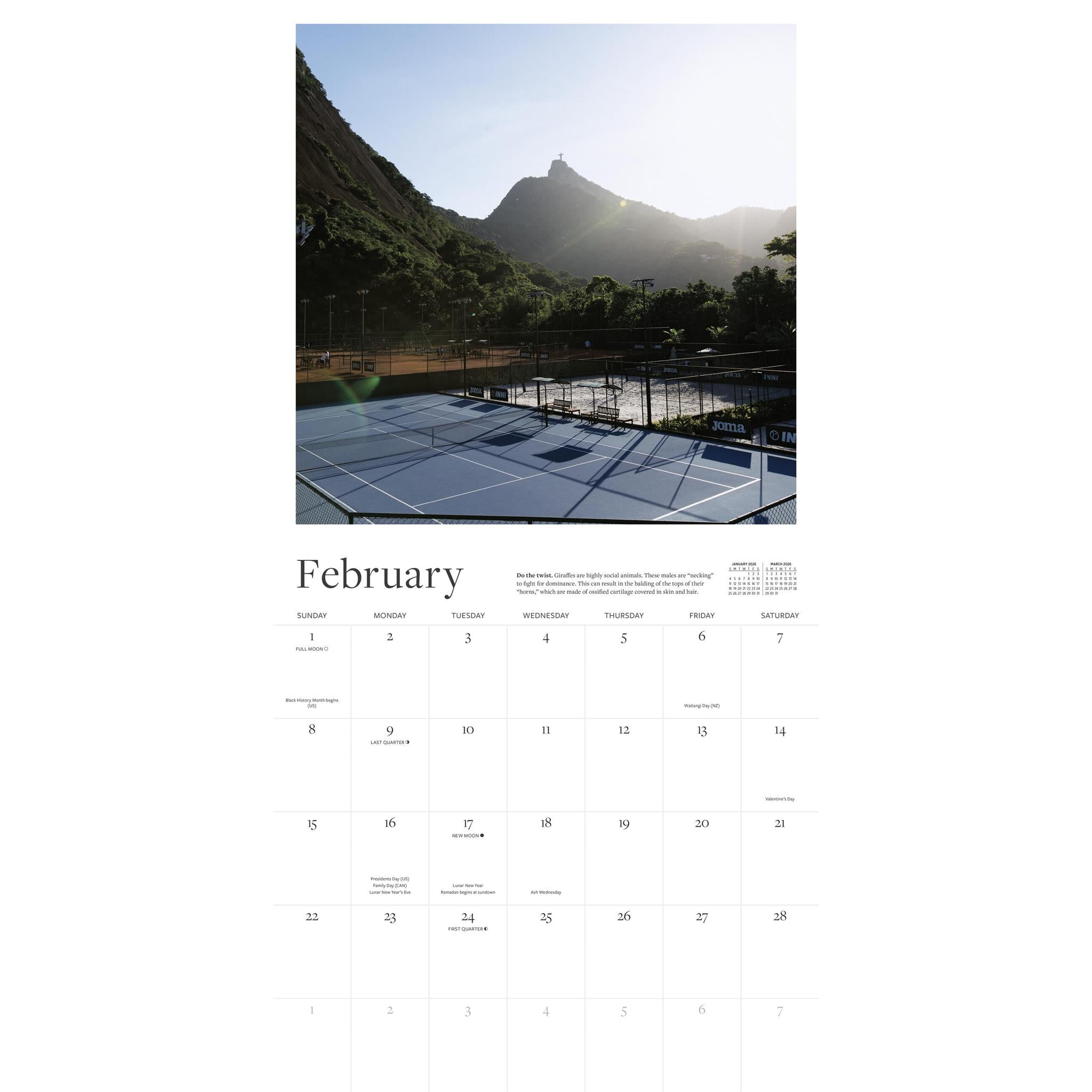 Calendrier mural 2026 du court de tennis - Disponible uniquement en ligne