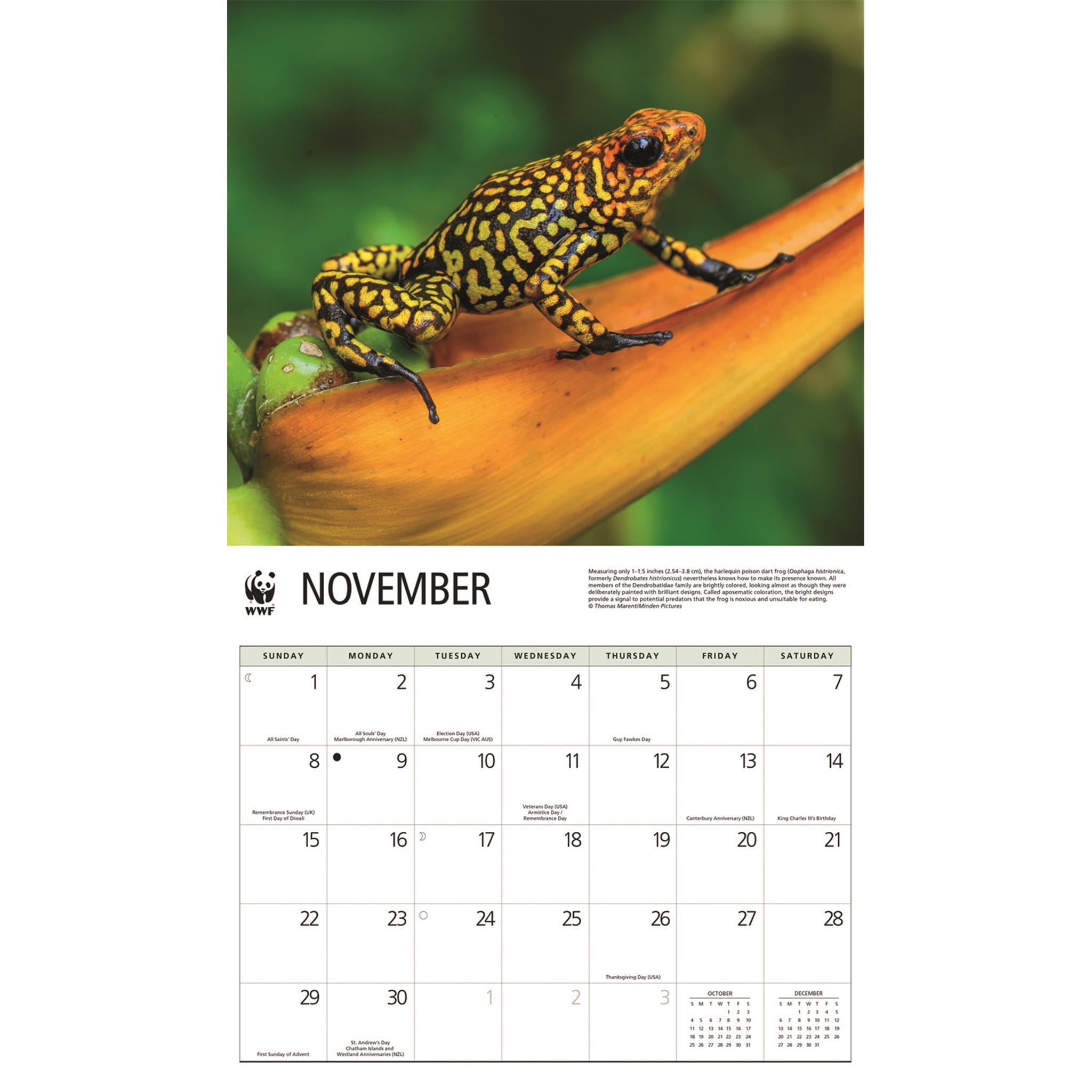 World Wildlife Fund Frogs 2026 Wall Calendar