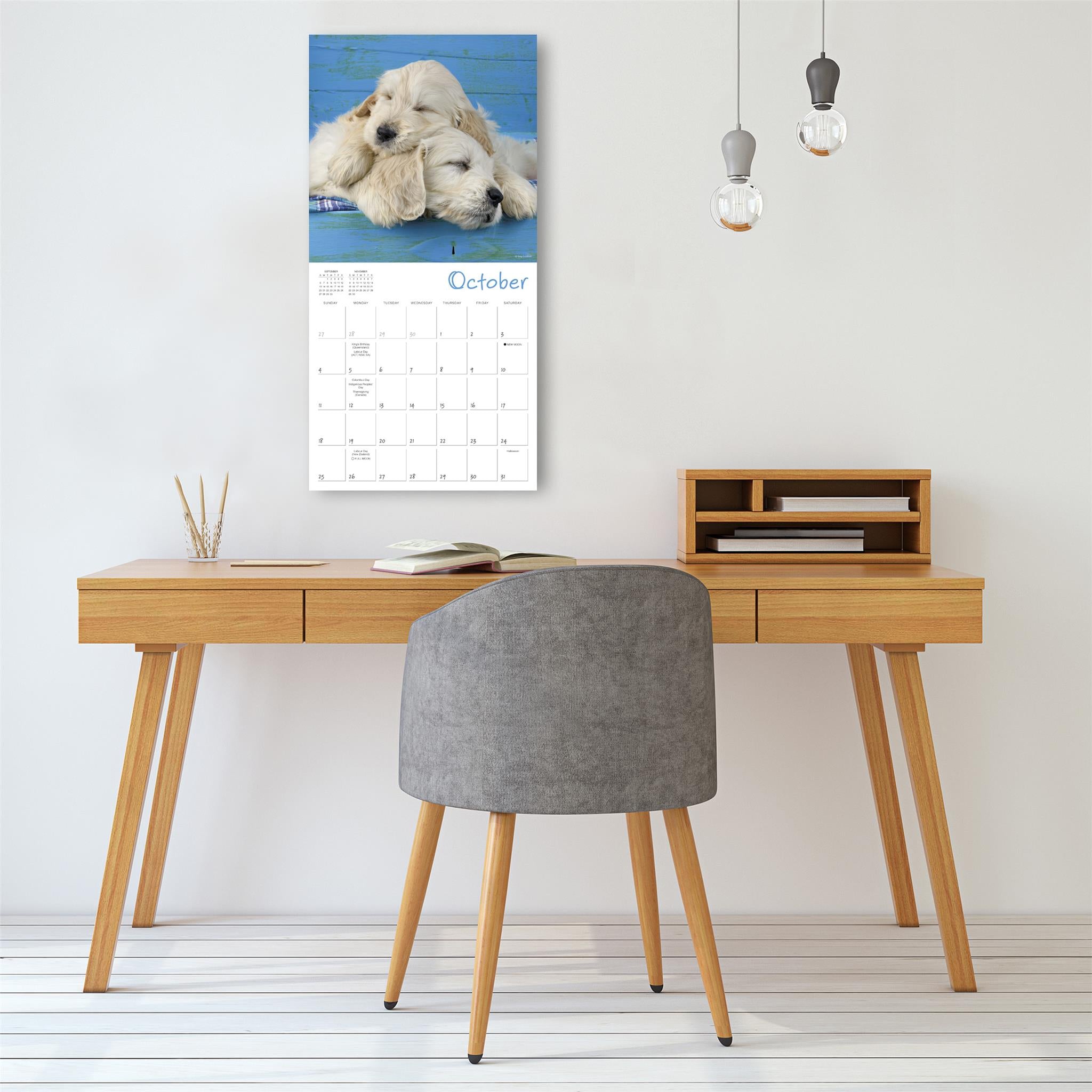 Pooped Puppies 2026 Wall Calendar - Online Only