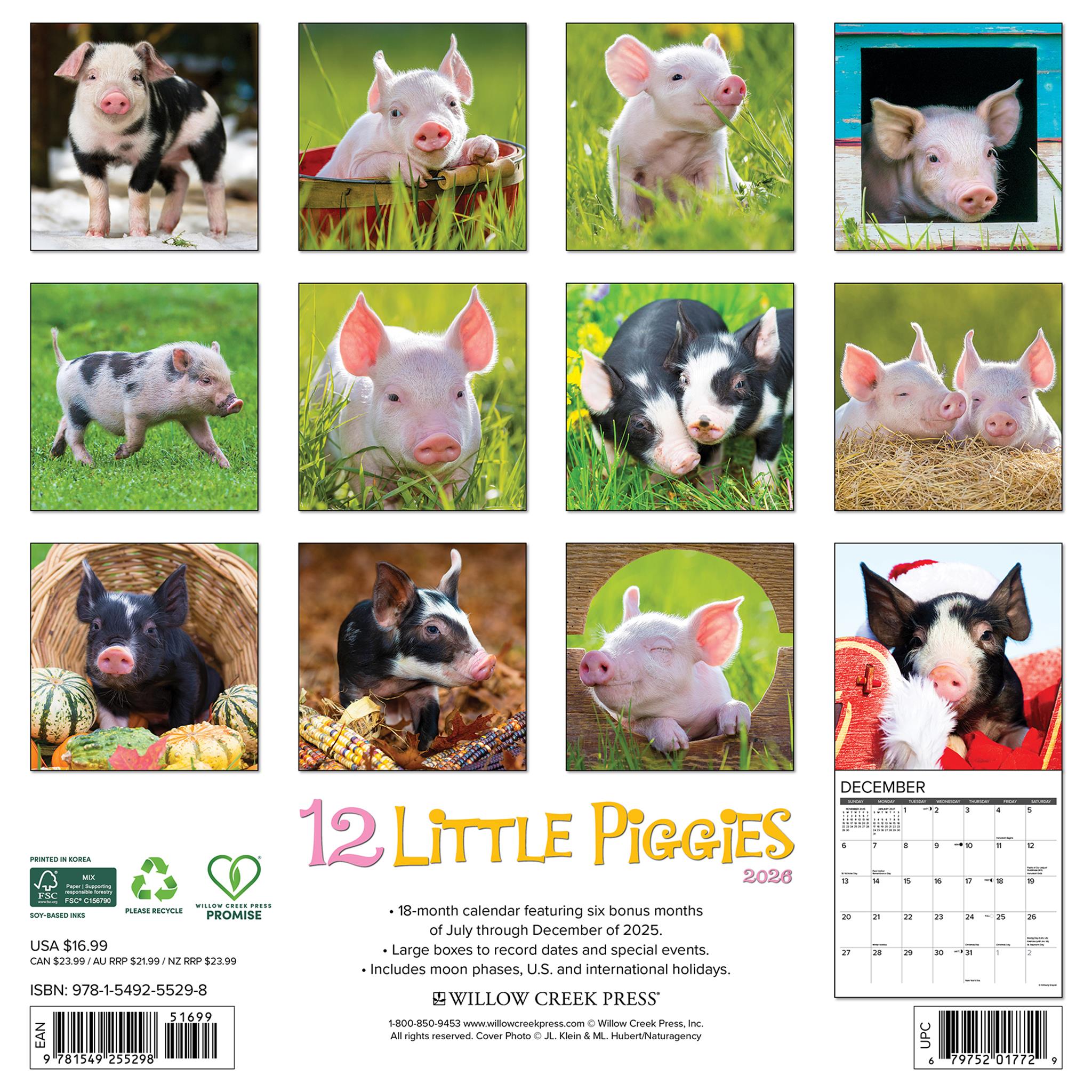 Calendrier mural 2026 des 12 Petits Cochons - Disponible uniquement en ligne