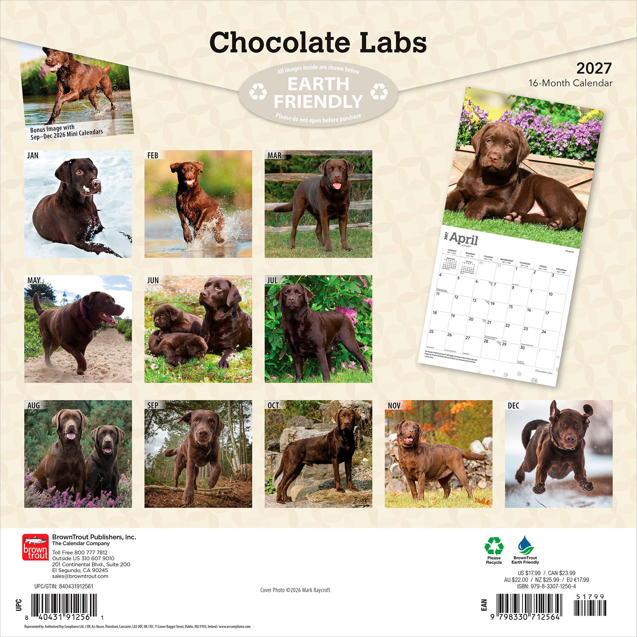 Chocolate Labs 2027 Wall Calendar