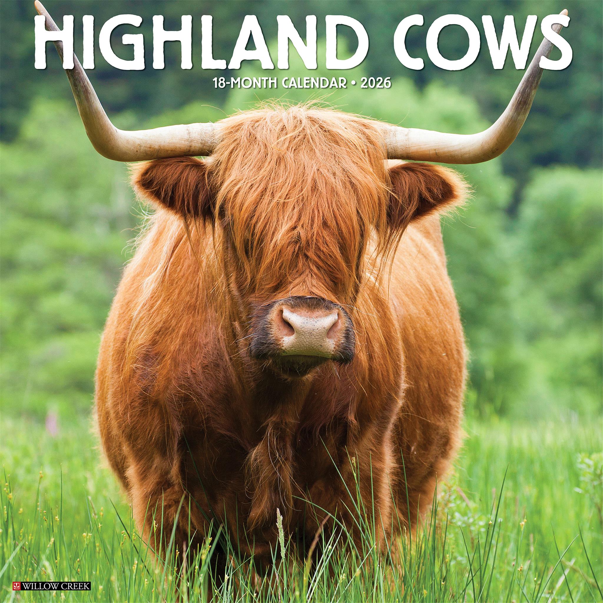 Calendrier mural 2026 des vaches des Highlands - Disponible uniquement en ligne