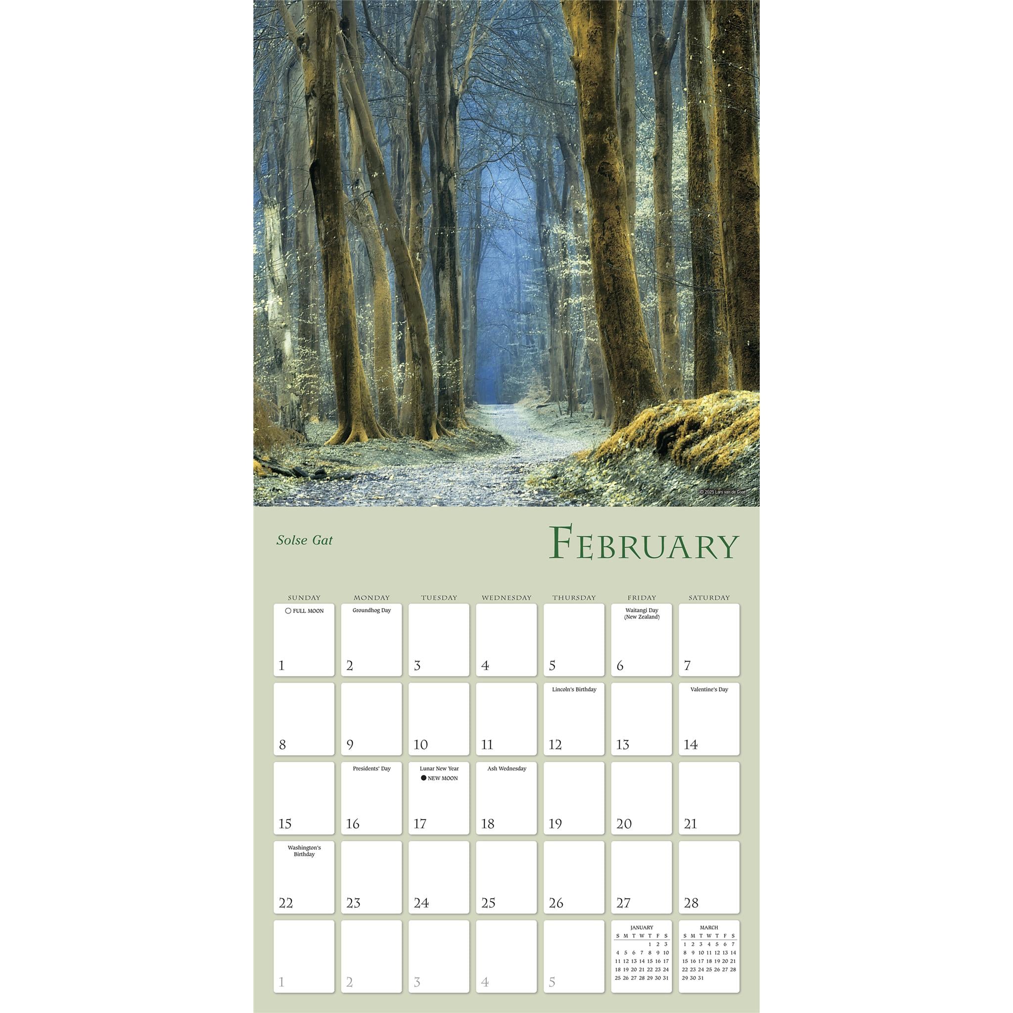 Calendrier mural Chemins enchantés 2026