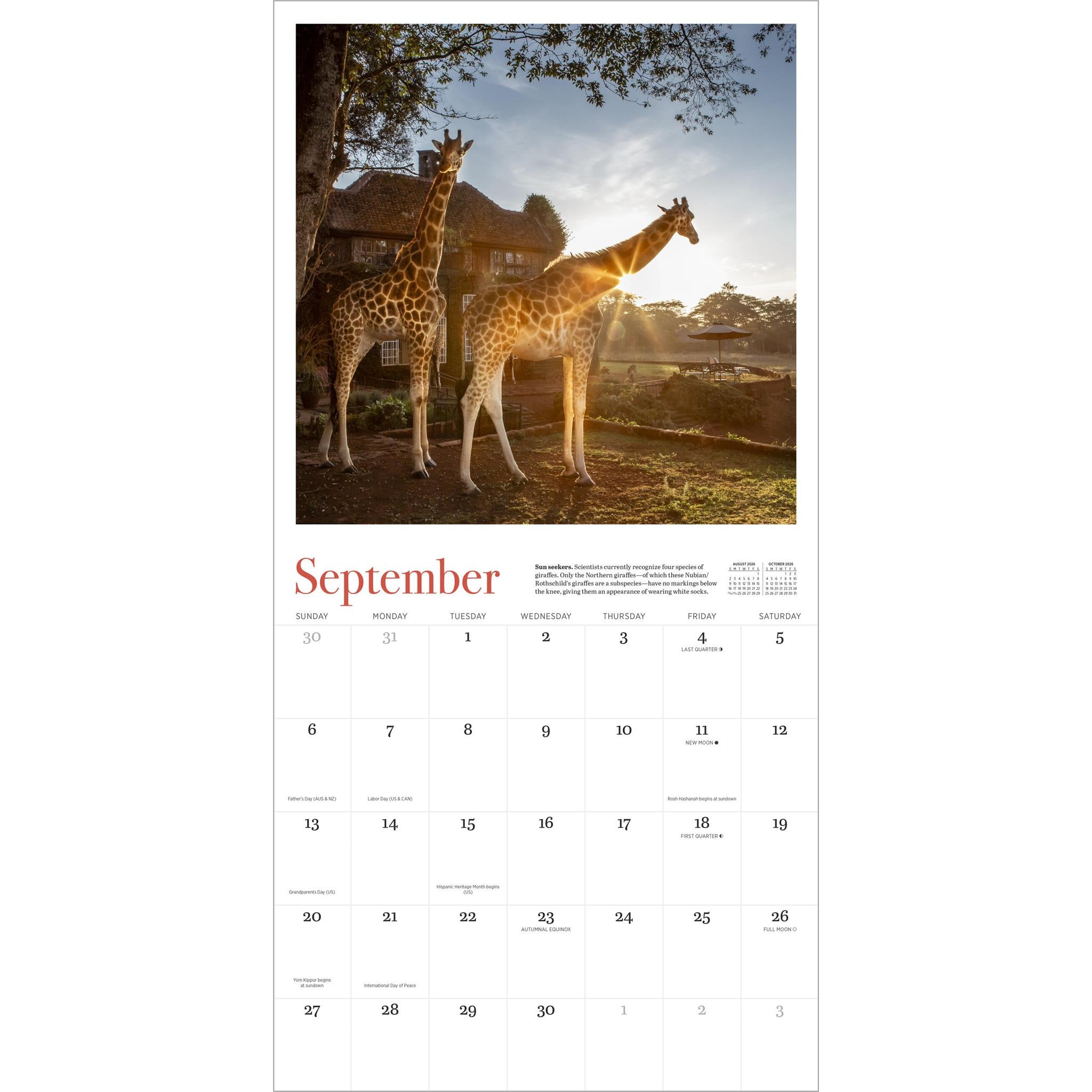 Calendrier mural Giraffe Manor 2026 - Disponible uniquement en ligne