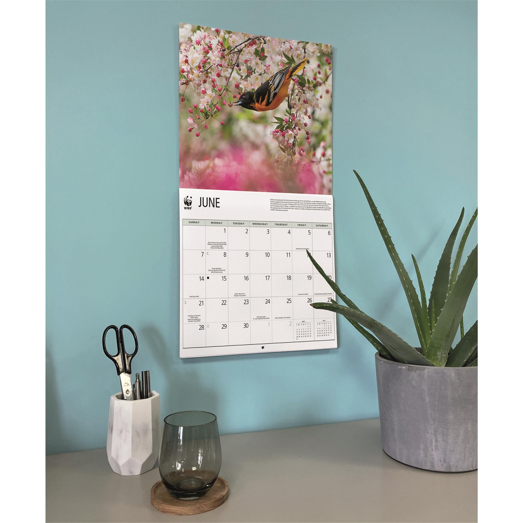 World Wildlife Fund Songbirds 2026 Wall Calendar