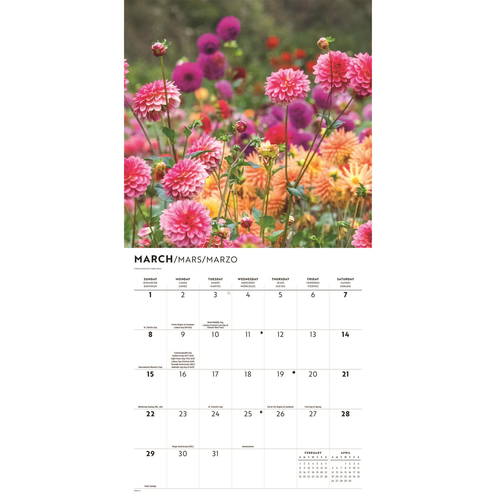 In The Garden 2026 Wall Calendar