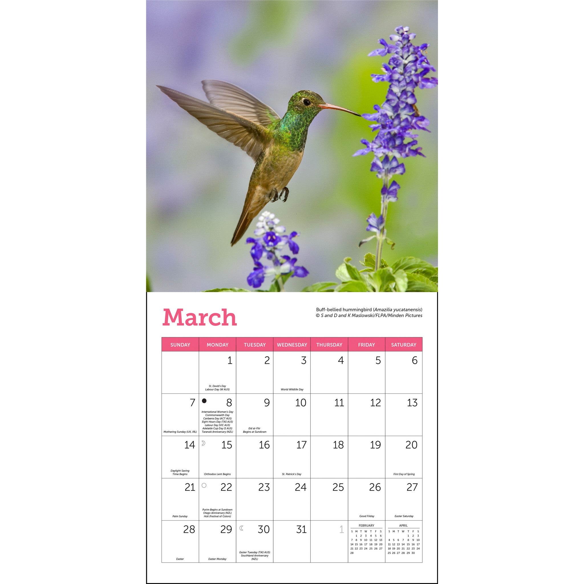 Mini-calendrier Colibris 2027