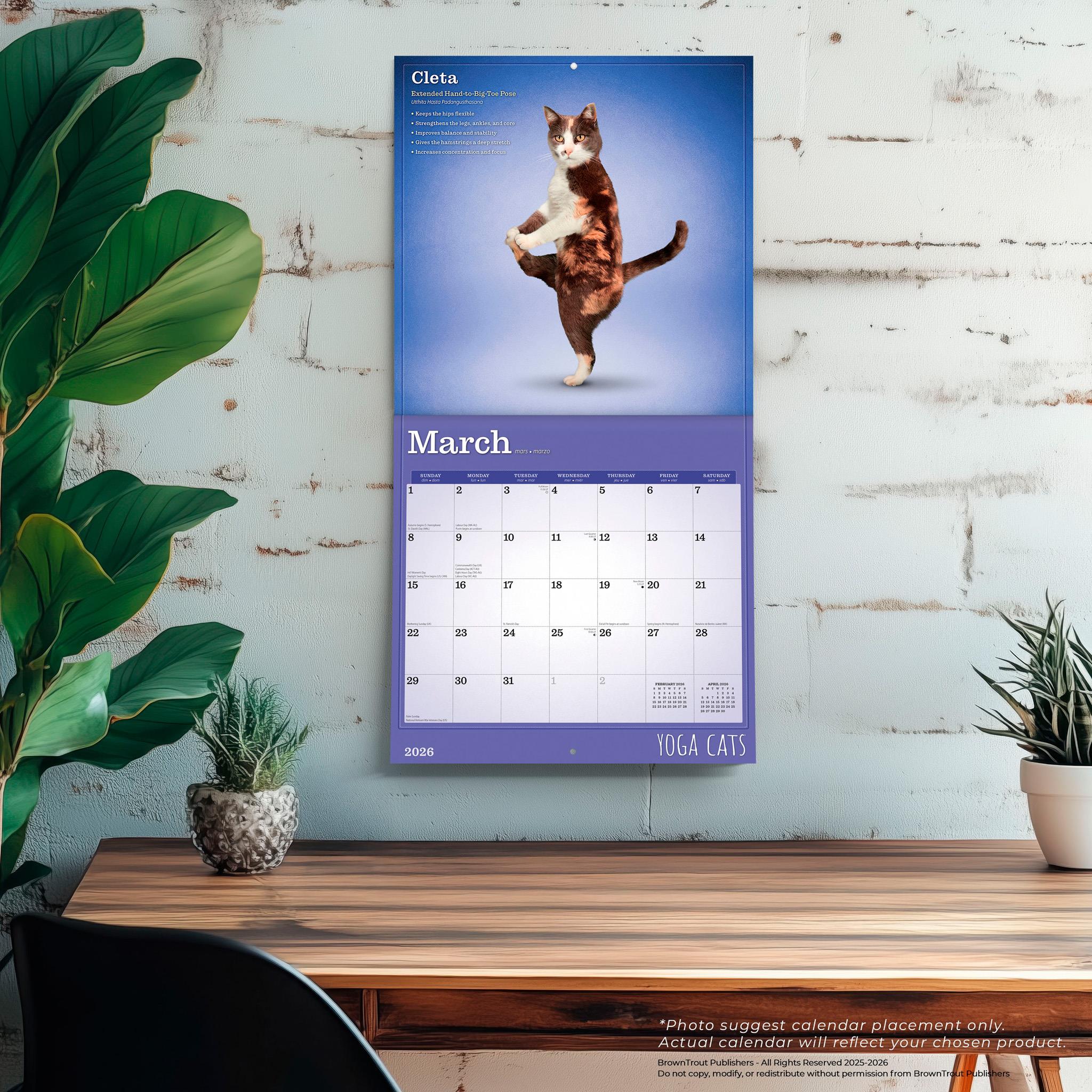 Calendrier mural Yoga Cats 2026