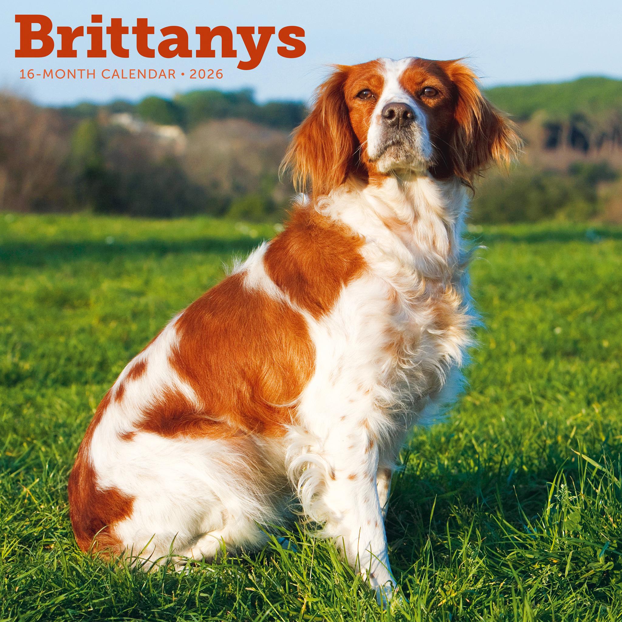 Calendrier mural Bretagne 2026