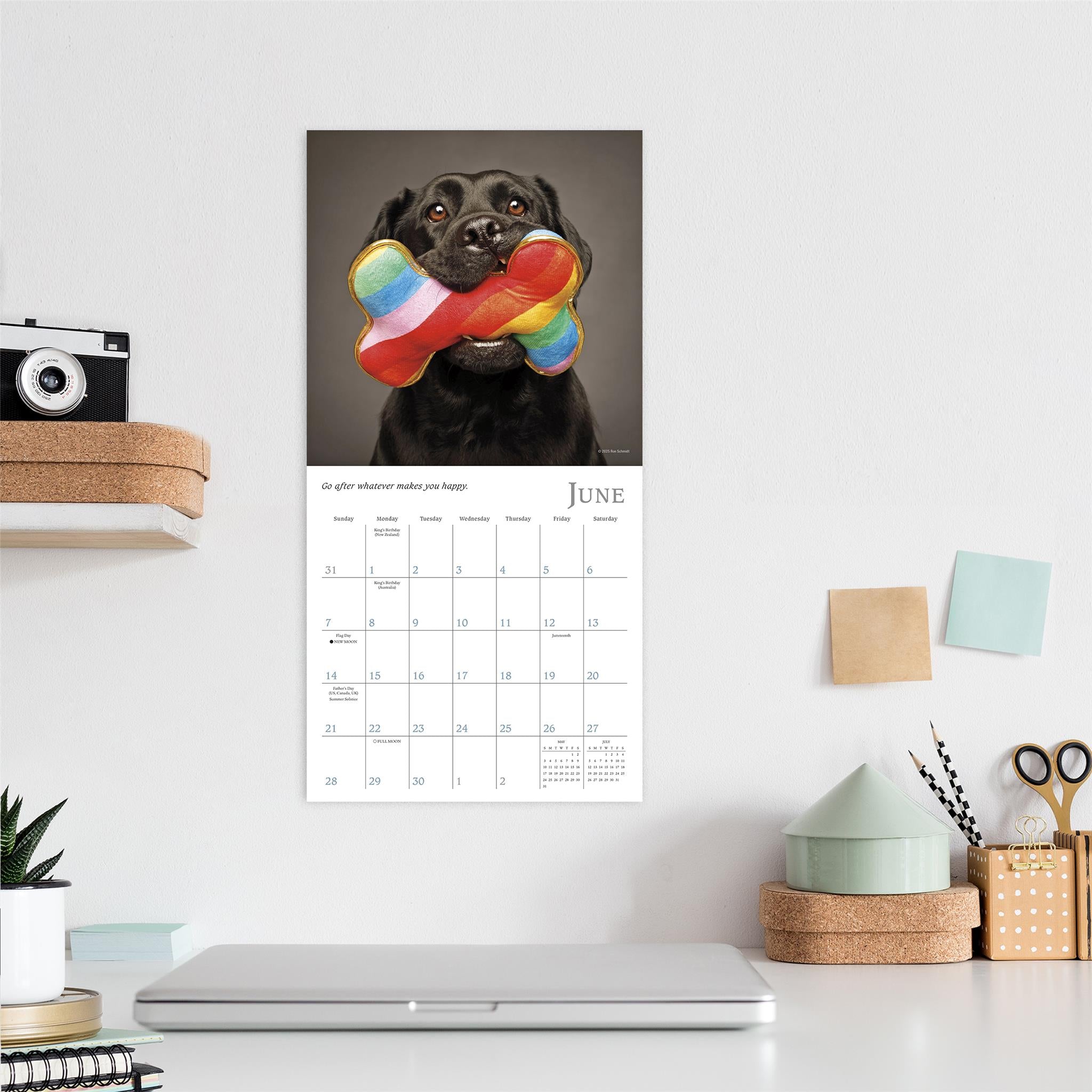 Mini-calendrier Dogma 2026