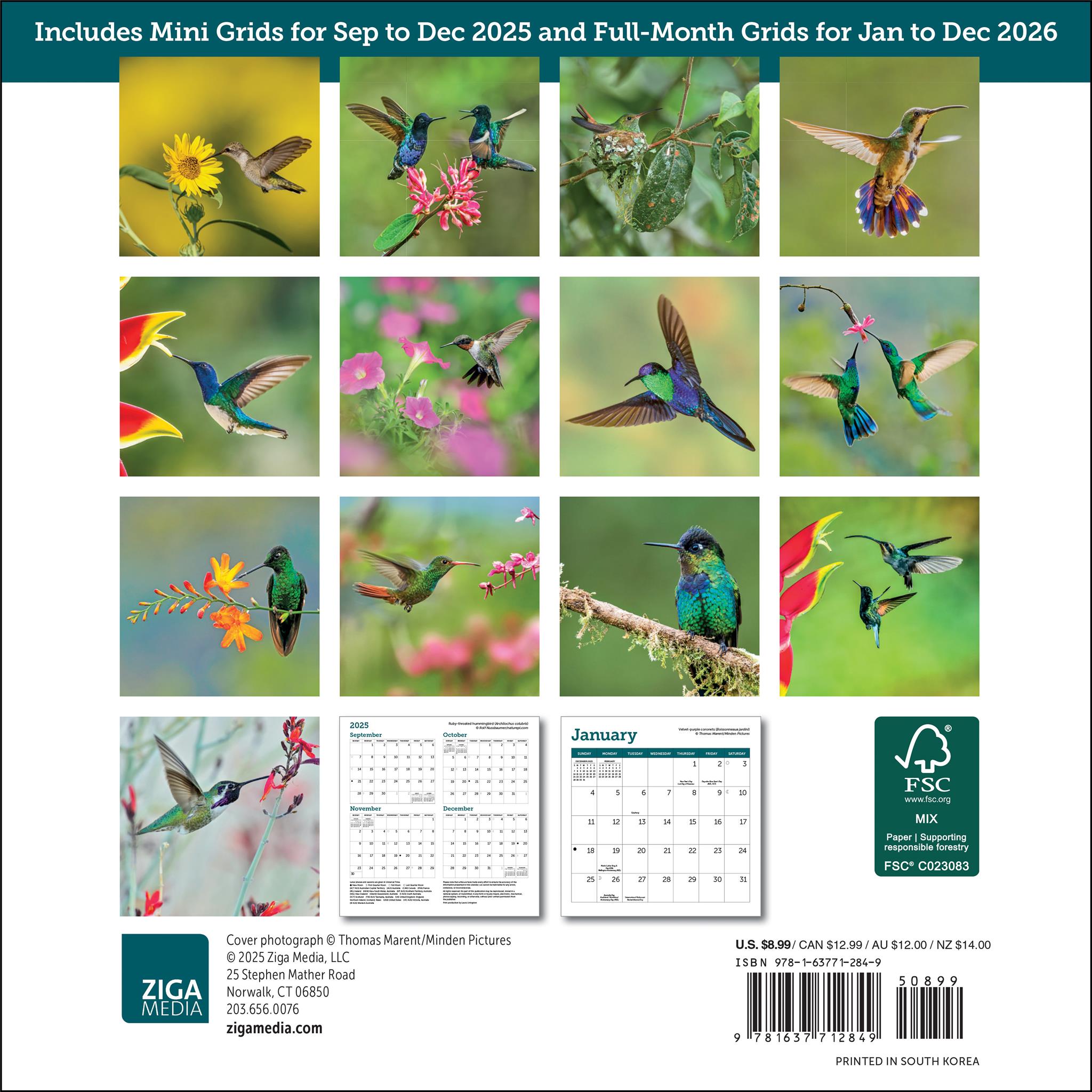 Mini-calendrier Colibris 2026