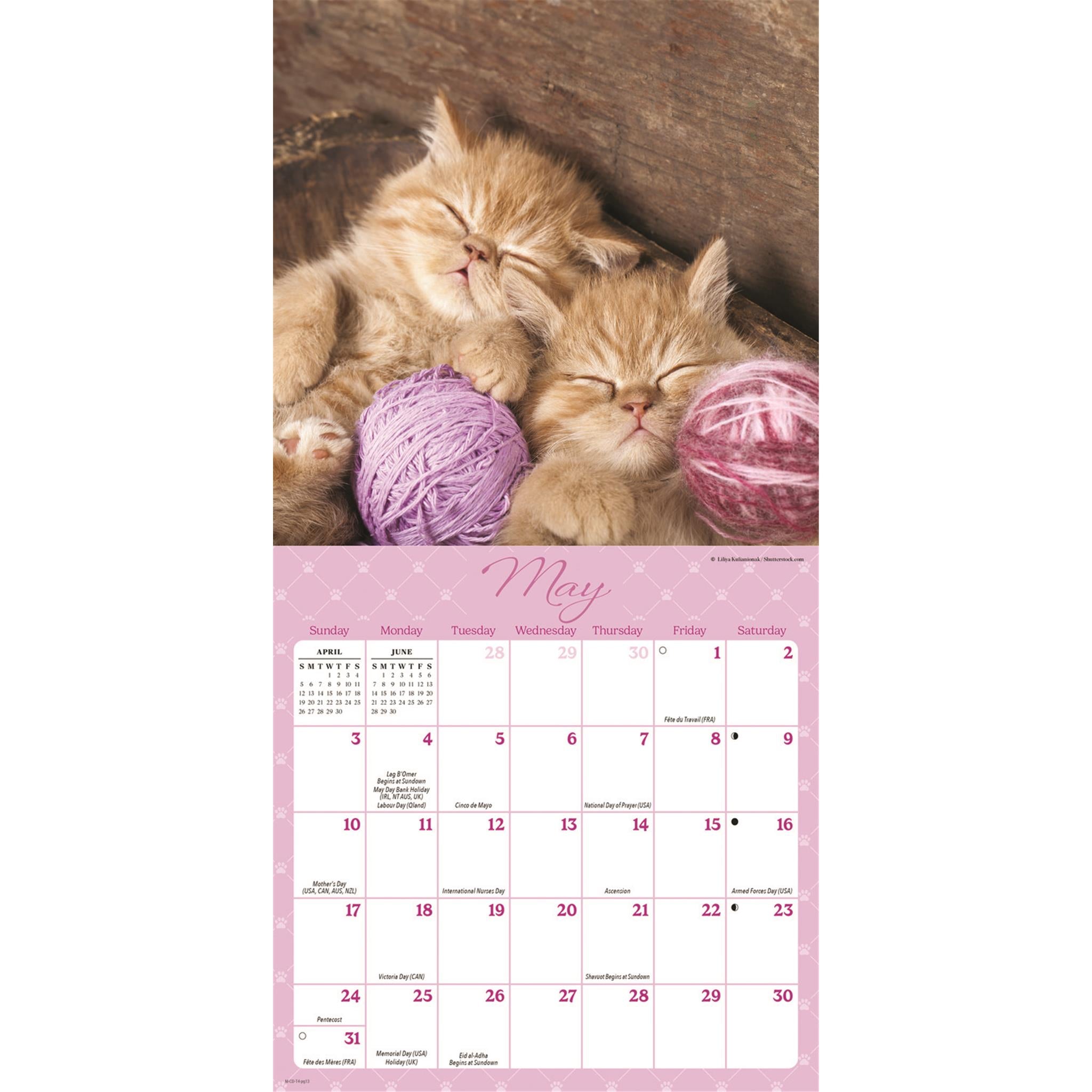 Mini calendrier de la sieste 2026