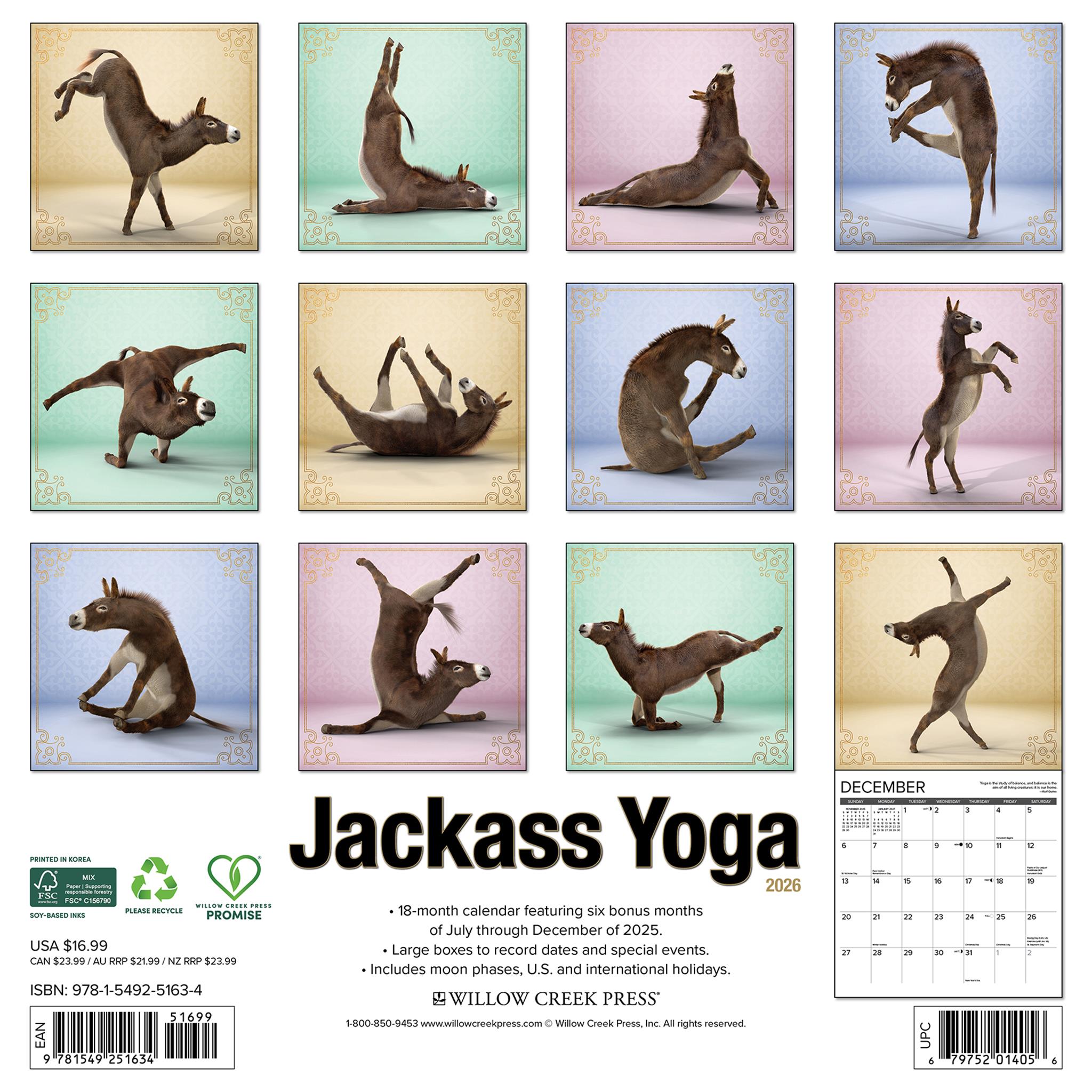 Calendrier mural Jackass Yoga 2026
